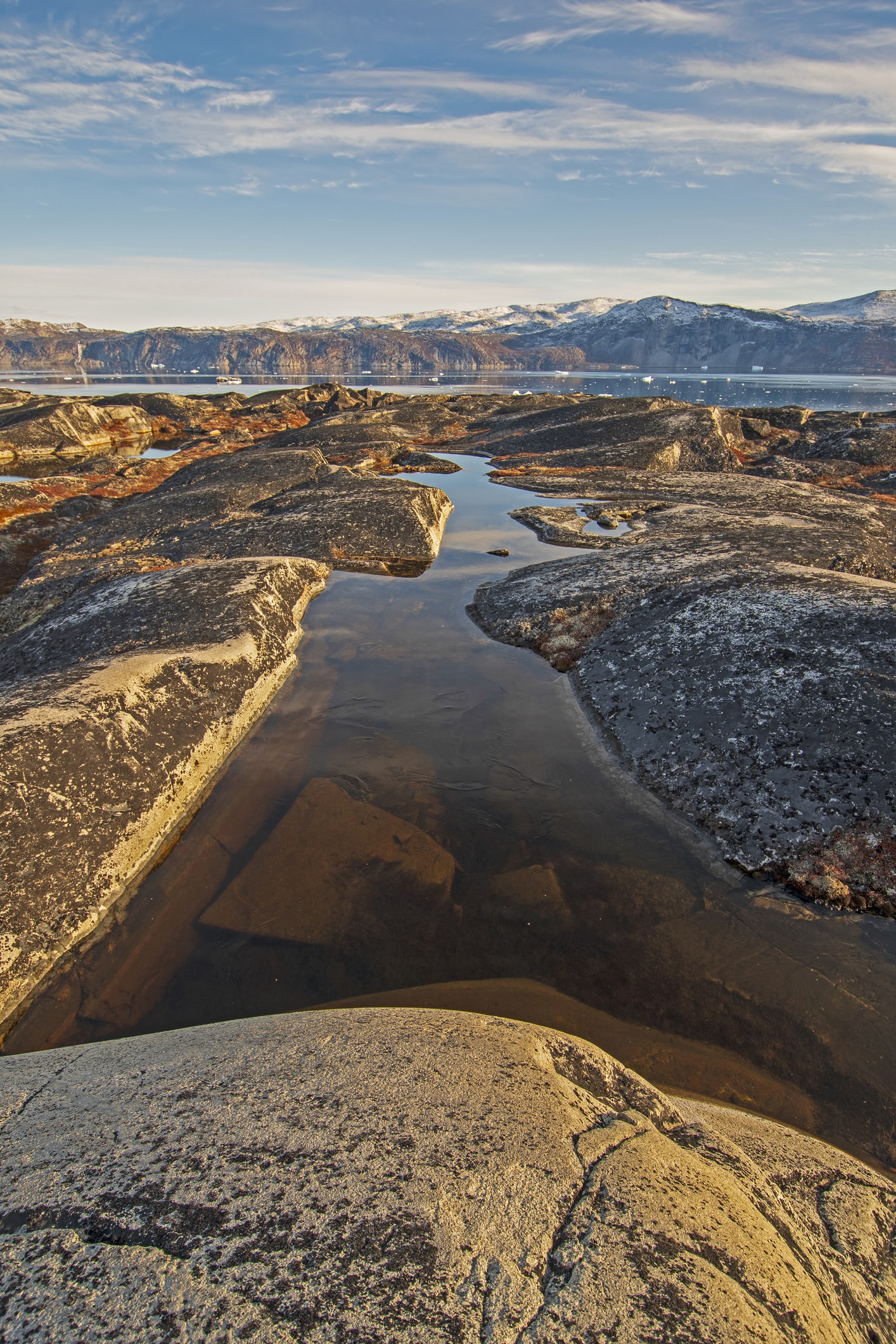 Why Did Vikings Mysteriously Leave Greenland? We May Finally Know The Reason