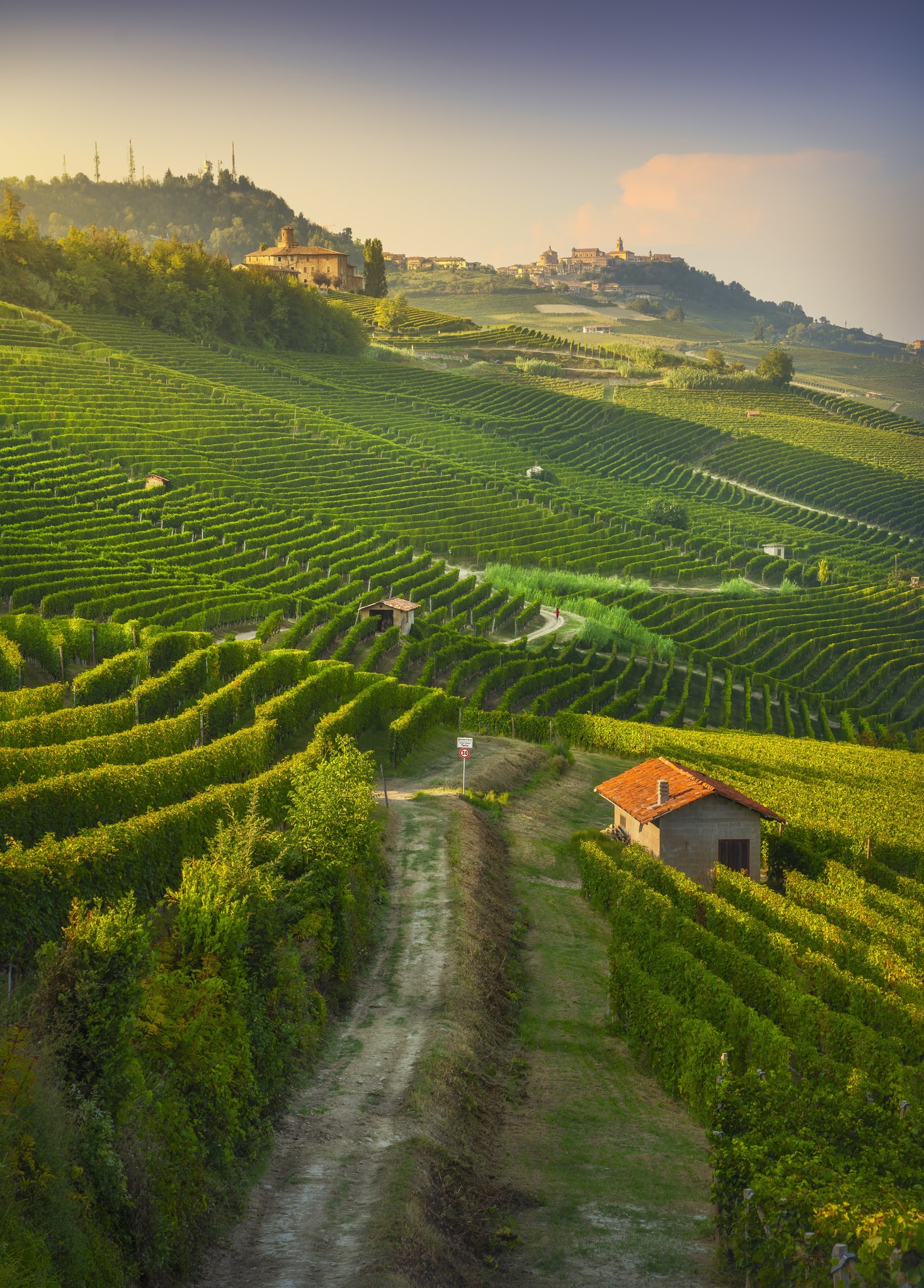 4 bodegas españolas donde pasar un fin de semana entre viñedos