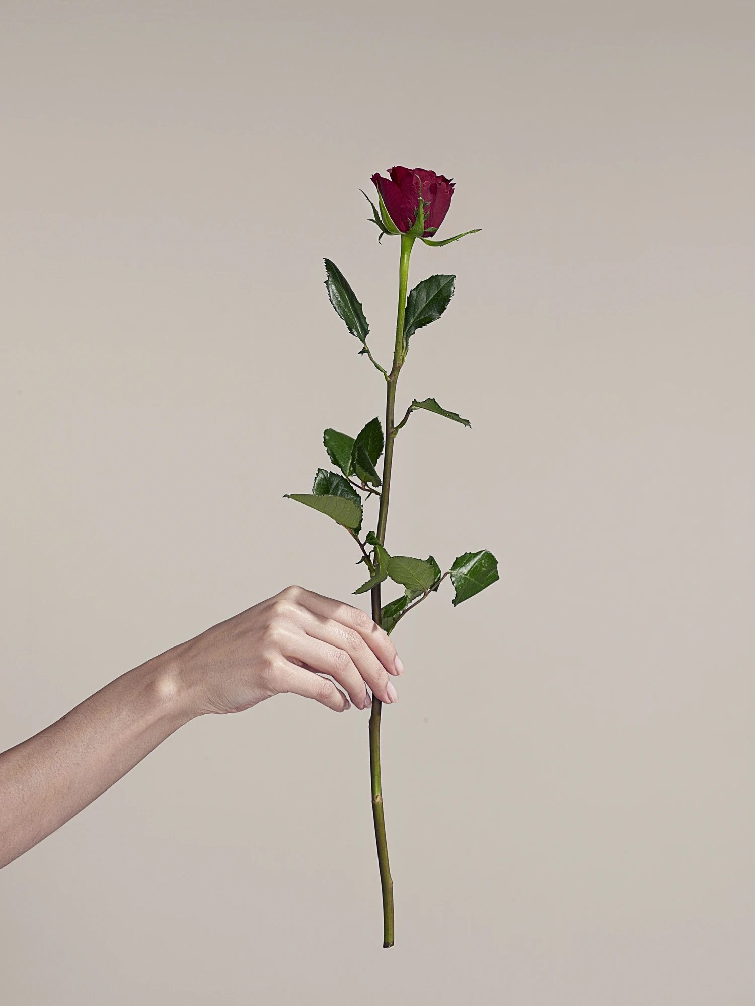 Relationship coach: Here's why you're making the same dating mistakes with each partner - and how to break free of the cycle for good