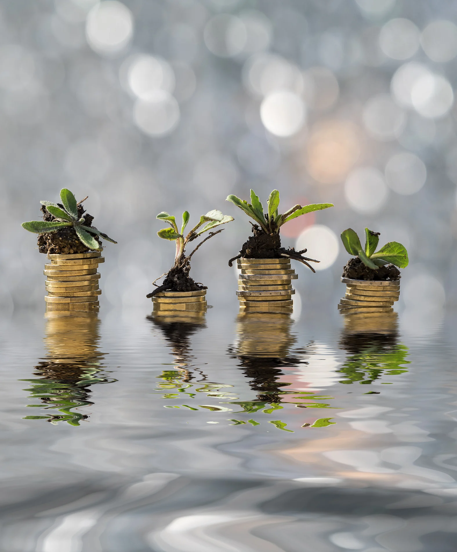 Job where teenagers are earning big