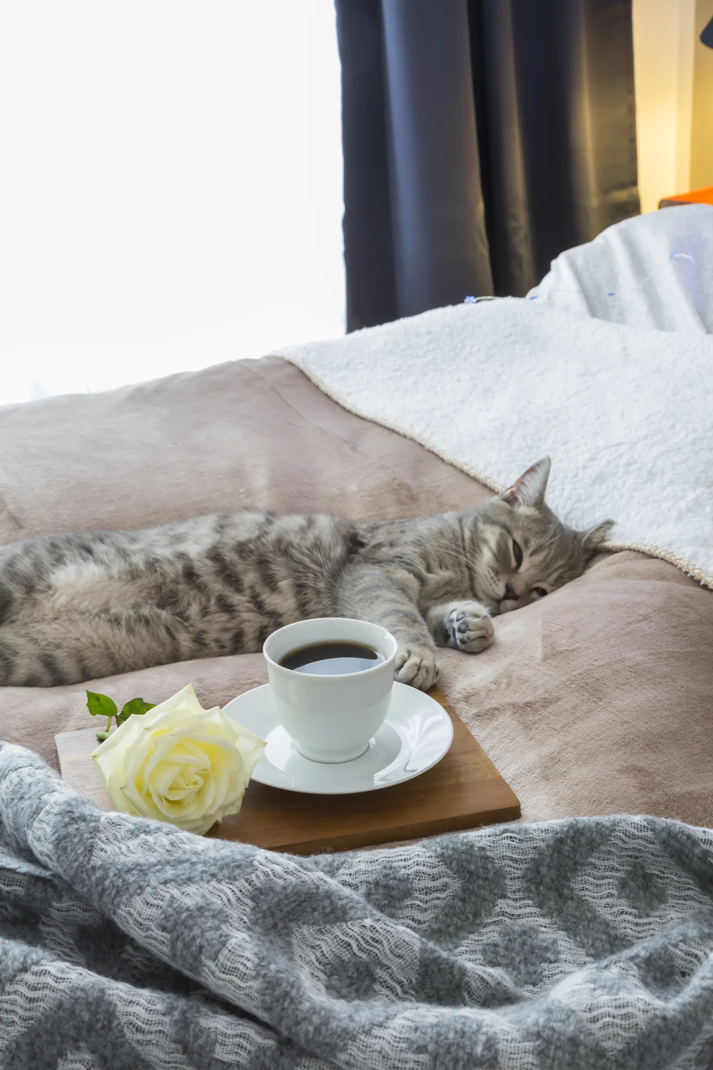 Sleeping less than the recommended amount can cause fat to line organs