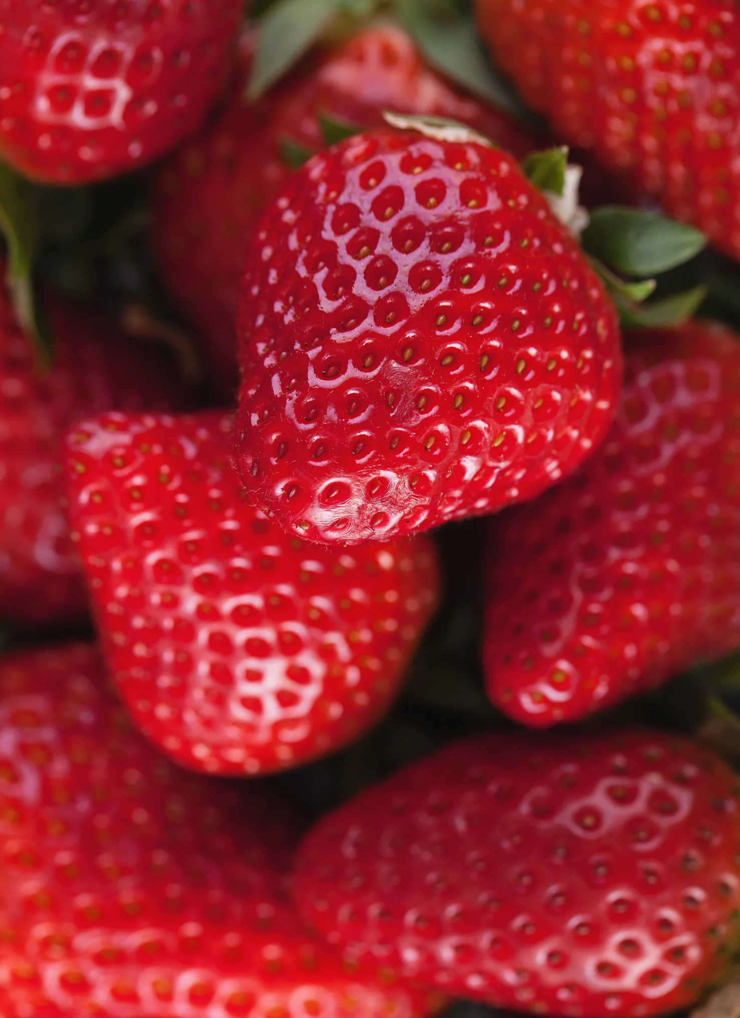 Cómo conservar las fresas para que duren más tiempo y no se estropeen