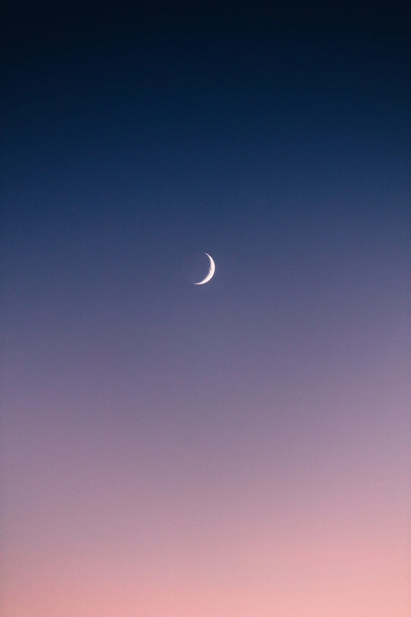 Thực vật có 'sống' được trên Mặt trăng?