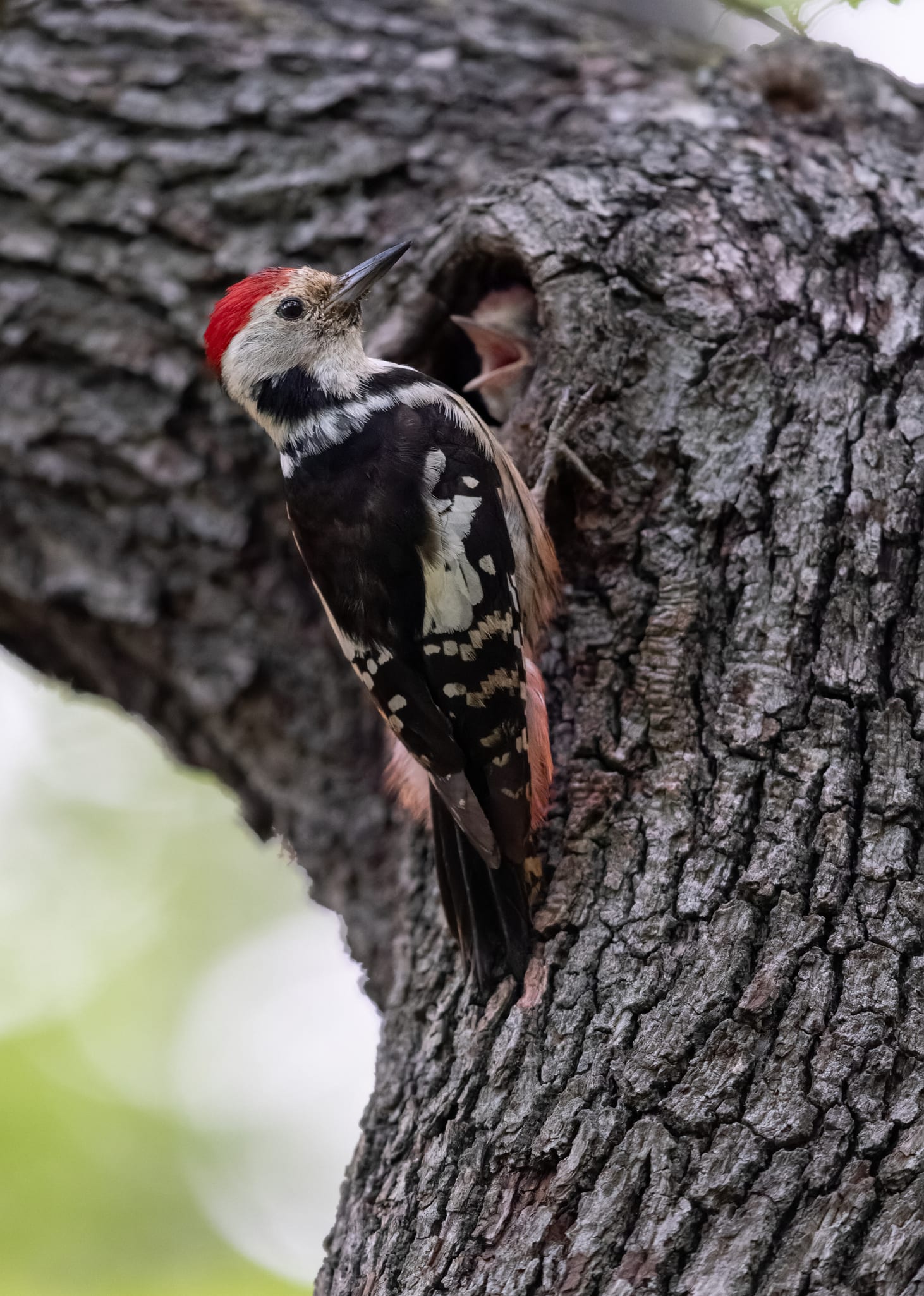 อวดโฉมเจ้าตัวเล็ก 