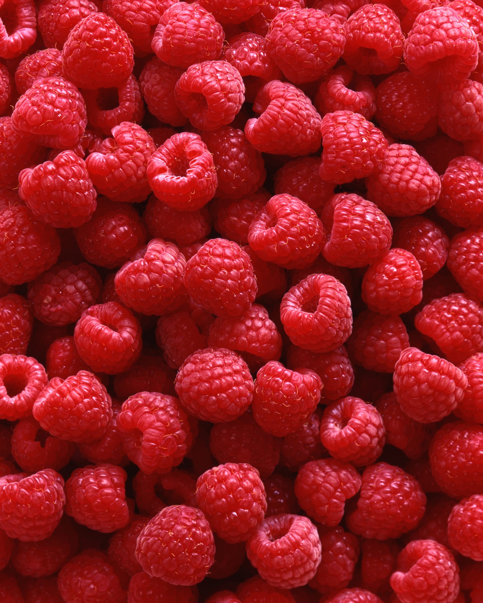 'I compared raspberries from Tesco, Lidl, Waitrose and Sainsbury's'
