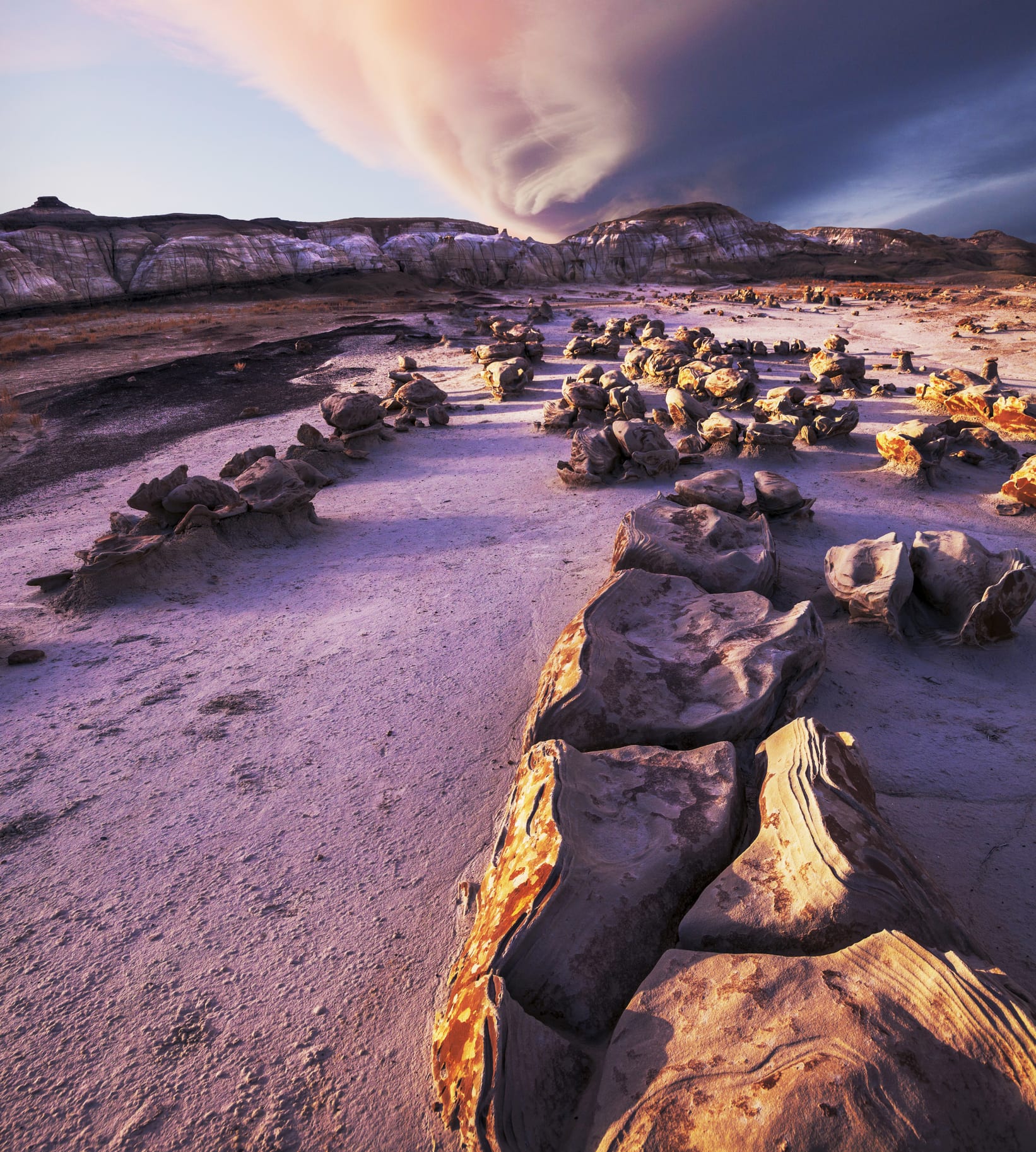 5 เรื่องน่ารู้ 