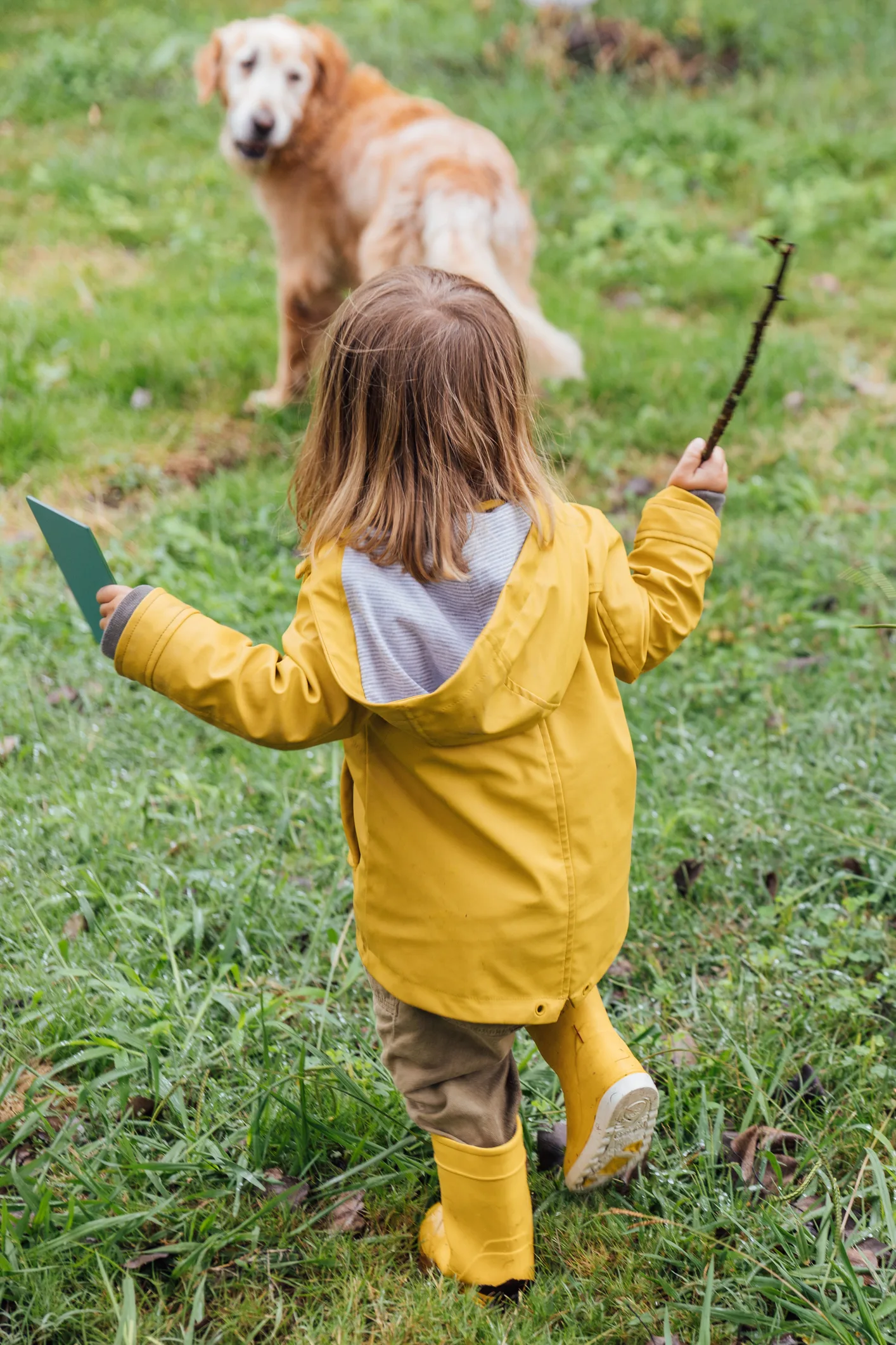 4 dicas para cachorro e bebê se darem bem
