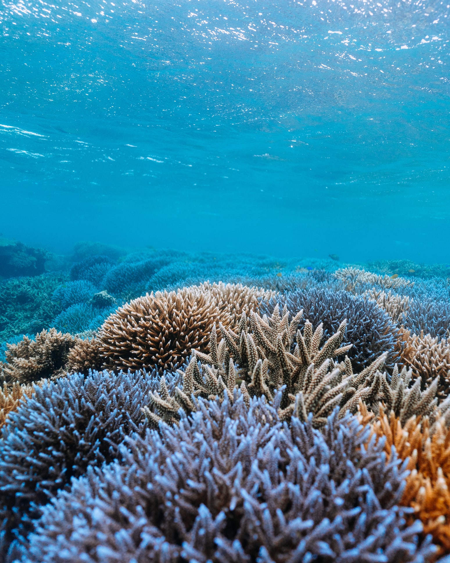 Wissenschaftsquiz: Beweisen Sie Ihr Wissen zum Thema Biodiversität!