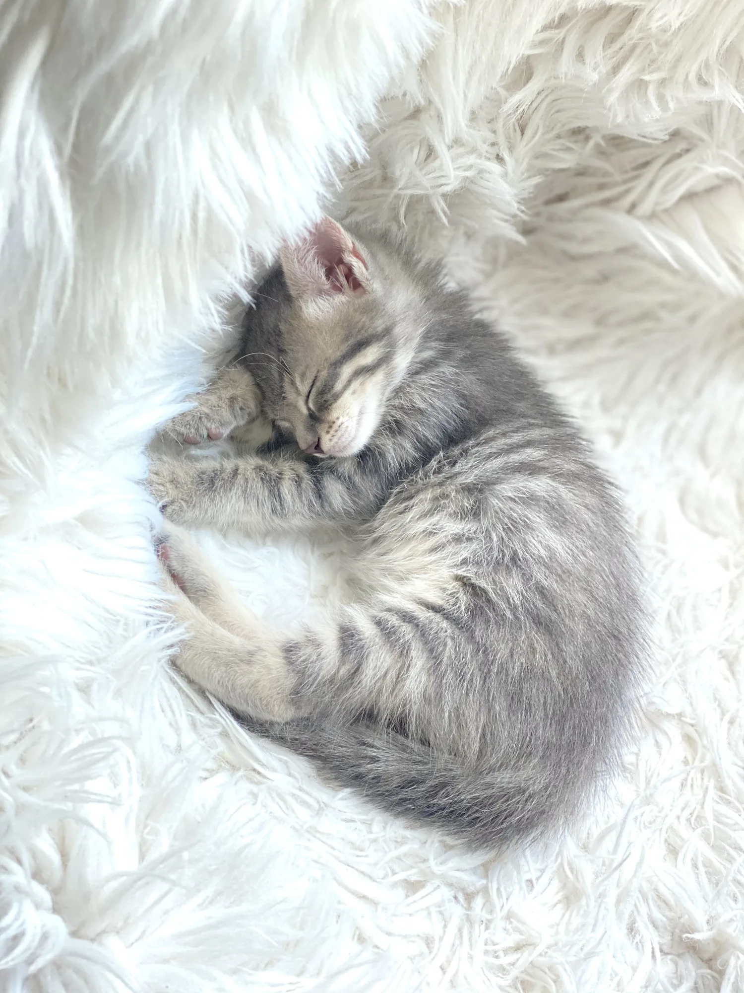 Sleep expert shares easy hack to help you fall asleep in just five minutes
