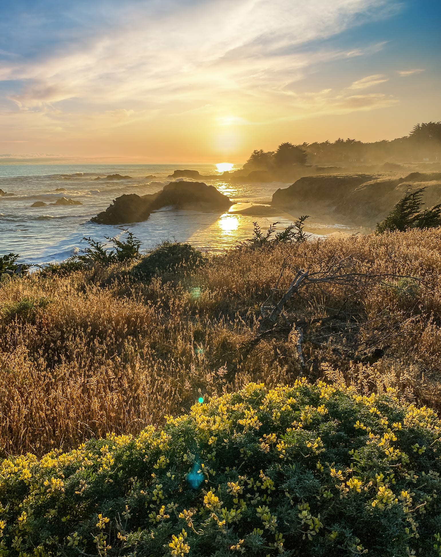Inside Brad Pitt’s New $40 Million Home in Beachy Carmel, California