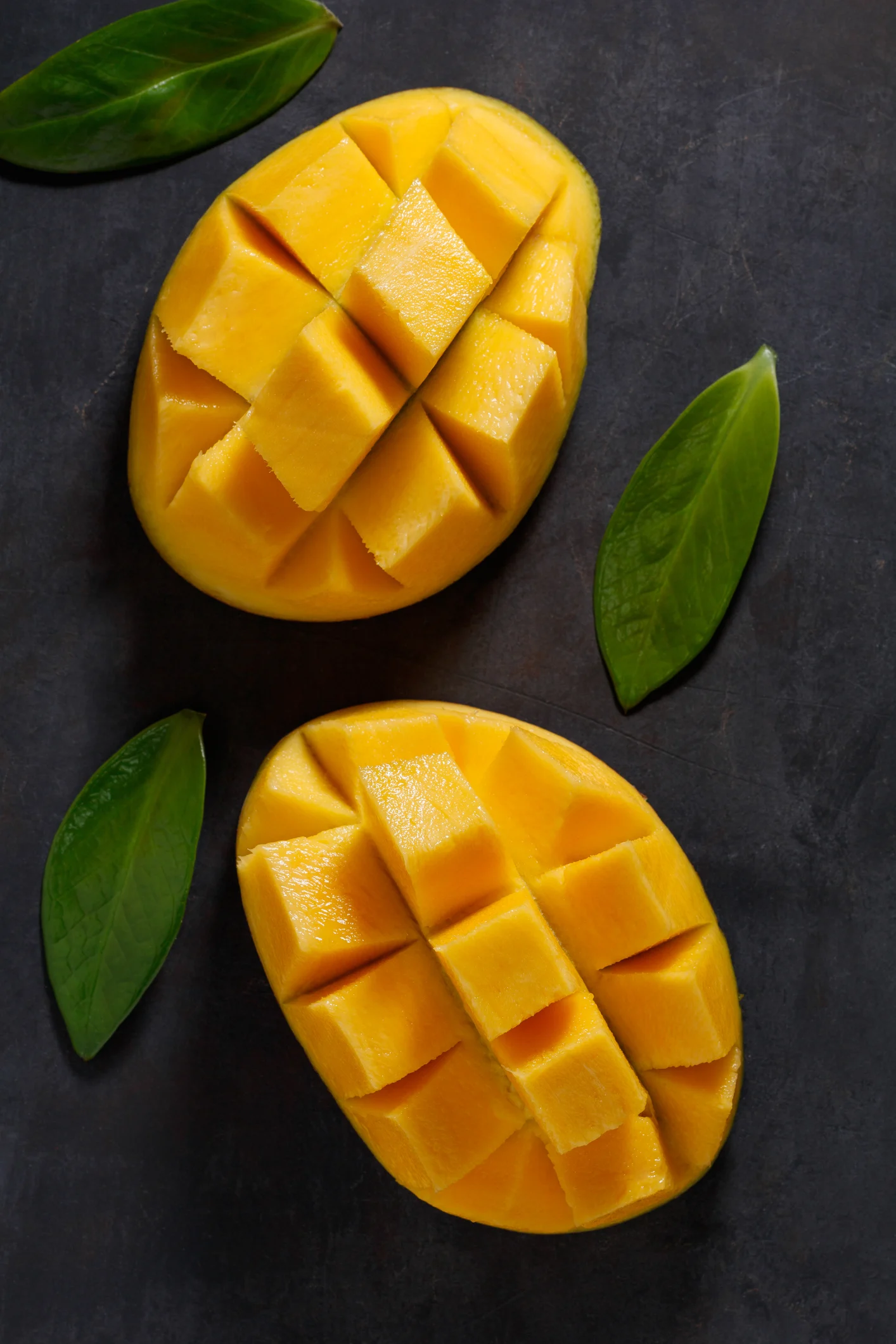 Descubre cómo plantar mango en casa, ¡te sorprenderá lo fácil que es!