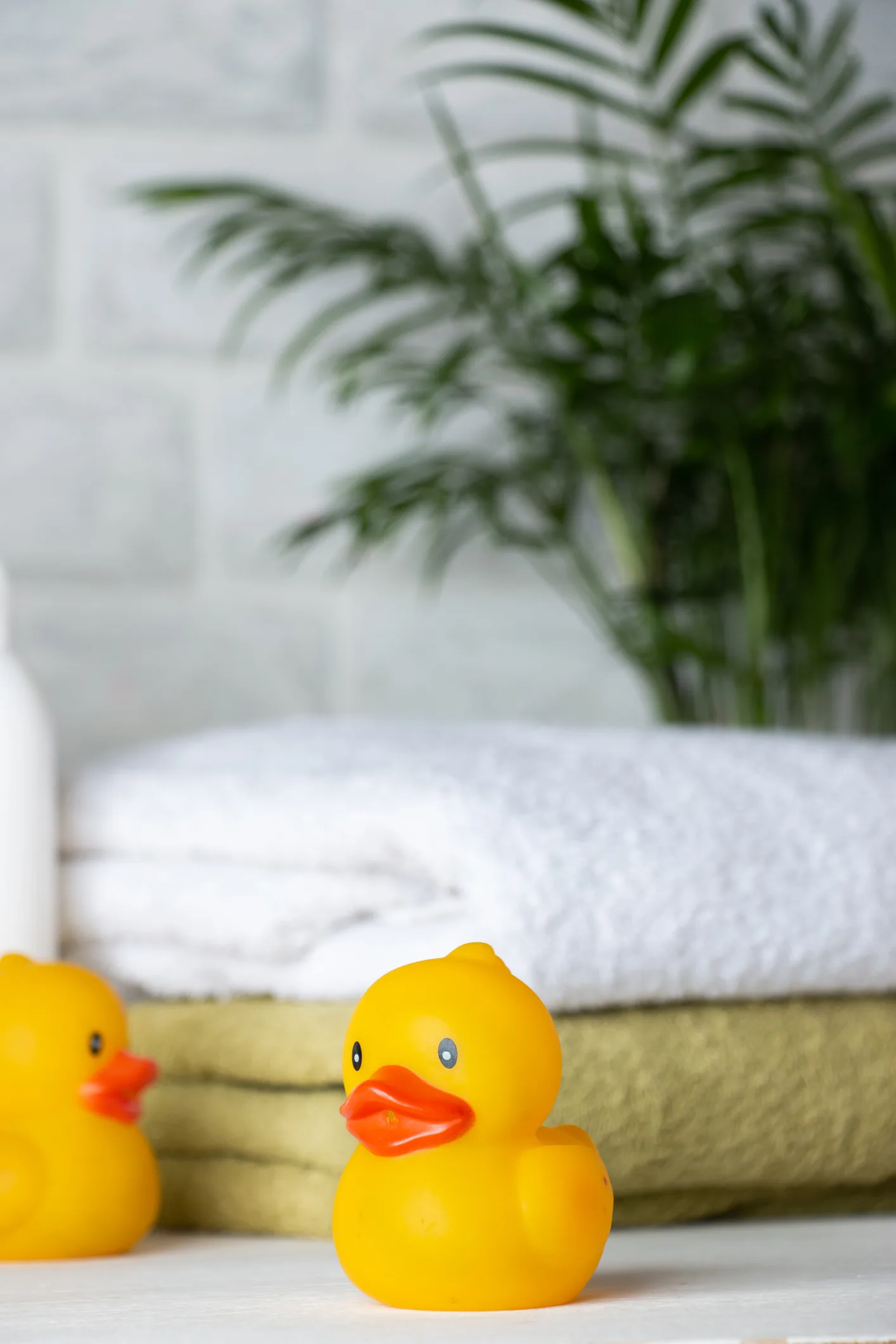 When can you bathe a newborn baby and how often should you do it? 