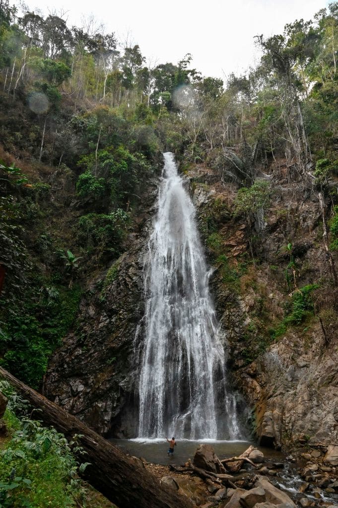 Incredible waterfalls surrounded by lush rainforest wows travellers