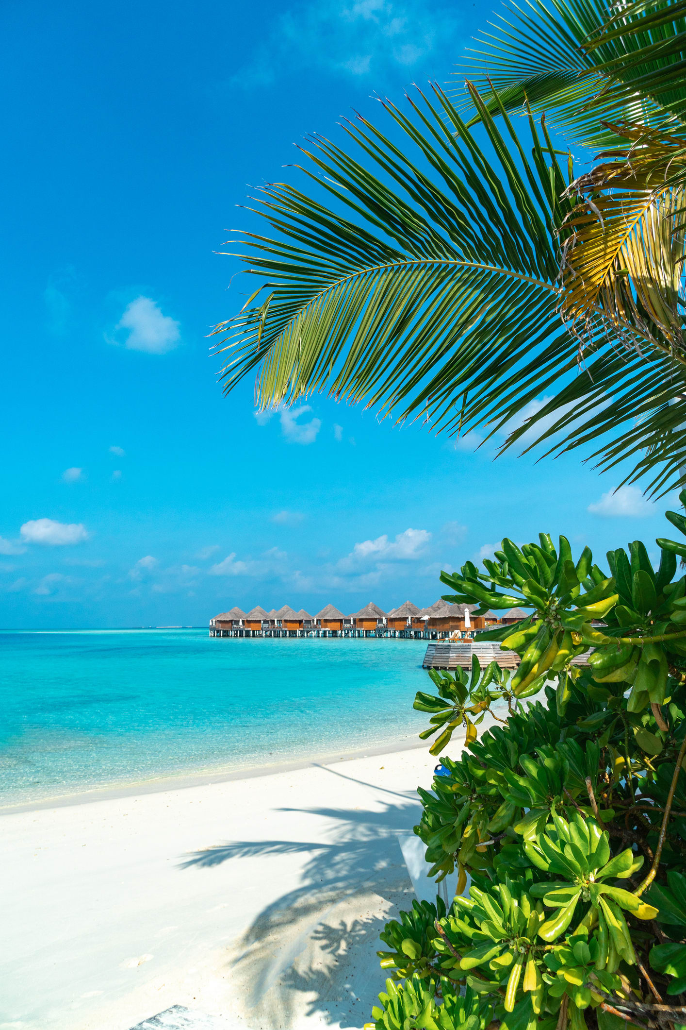 Cuánto tiempo antes de la exposición al Sol hay que aplicar el protector solar en la piel