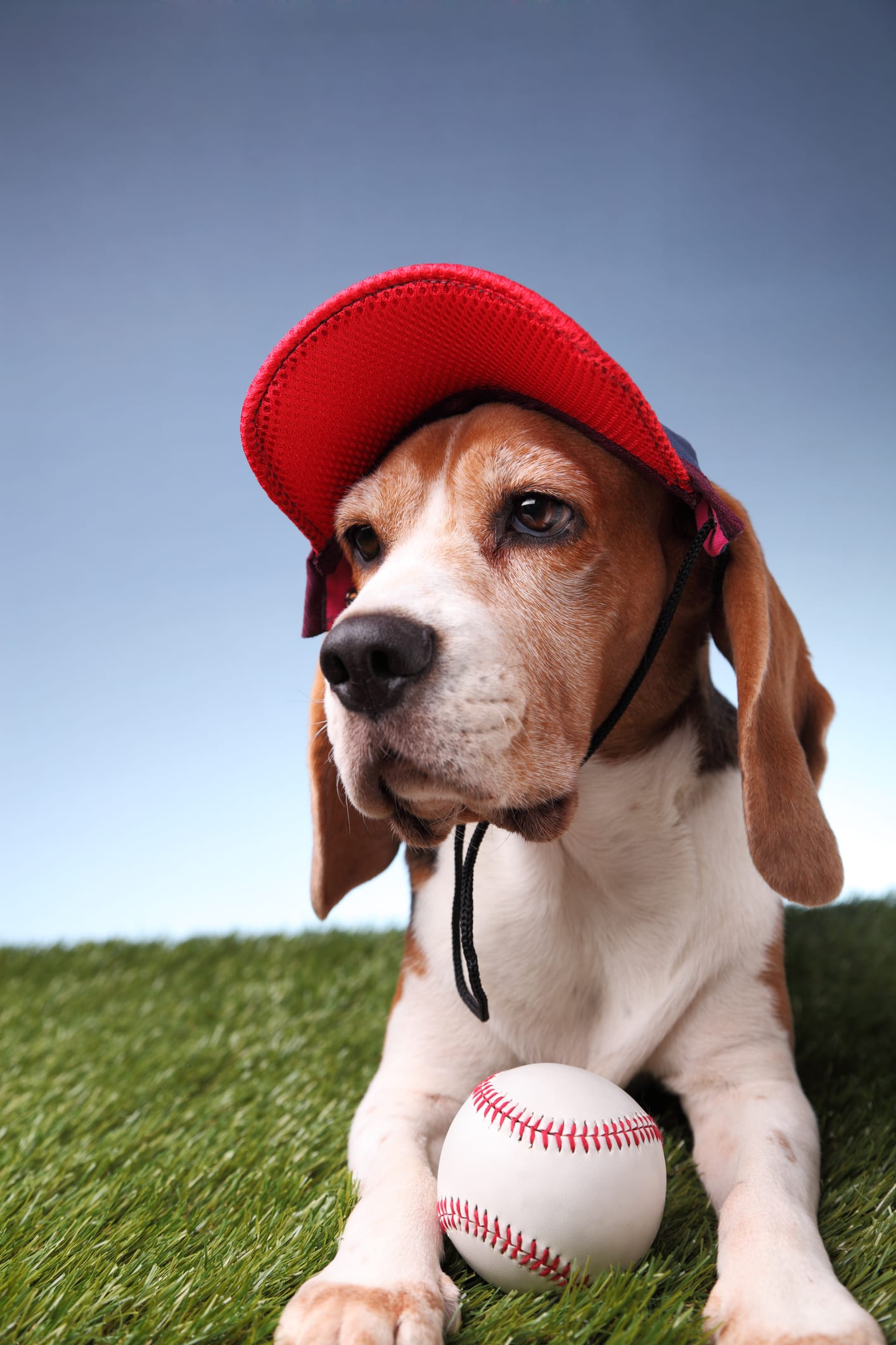 子どもの野球離れの要因「用具が高い」は本当か　サッカーやミニバスと“初期費用”を比較してみた