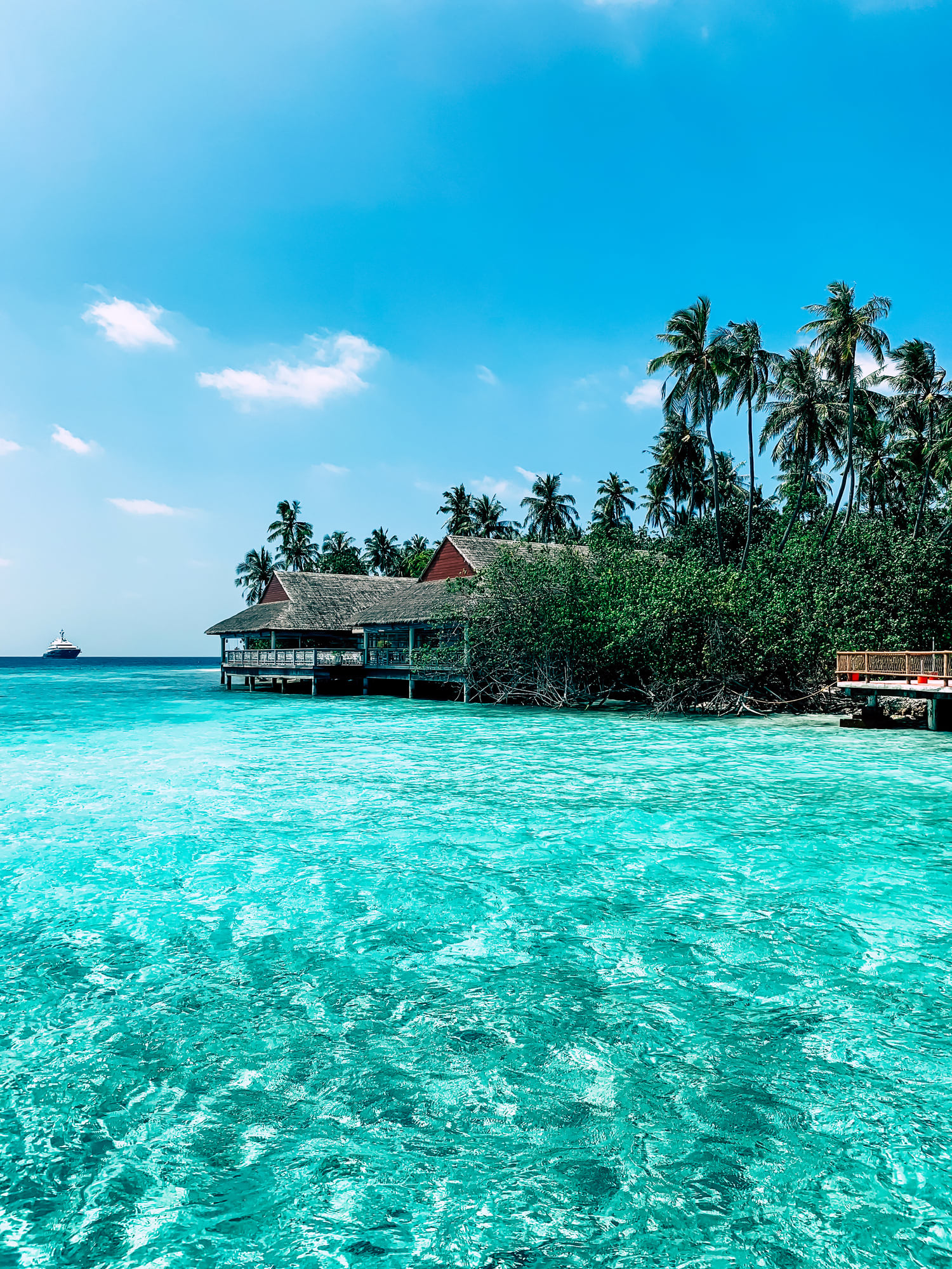 They bought a Caribbean island to start their own country. Here’s what happened next