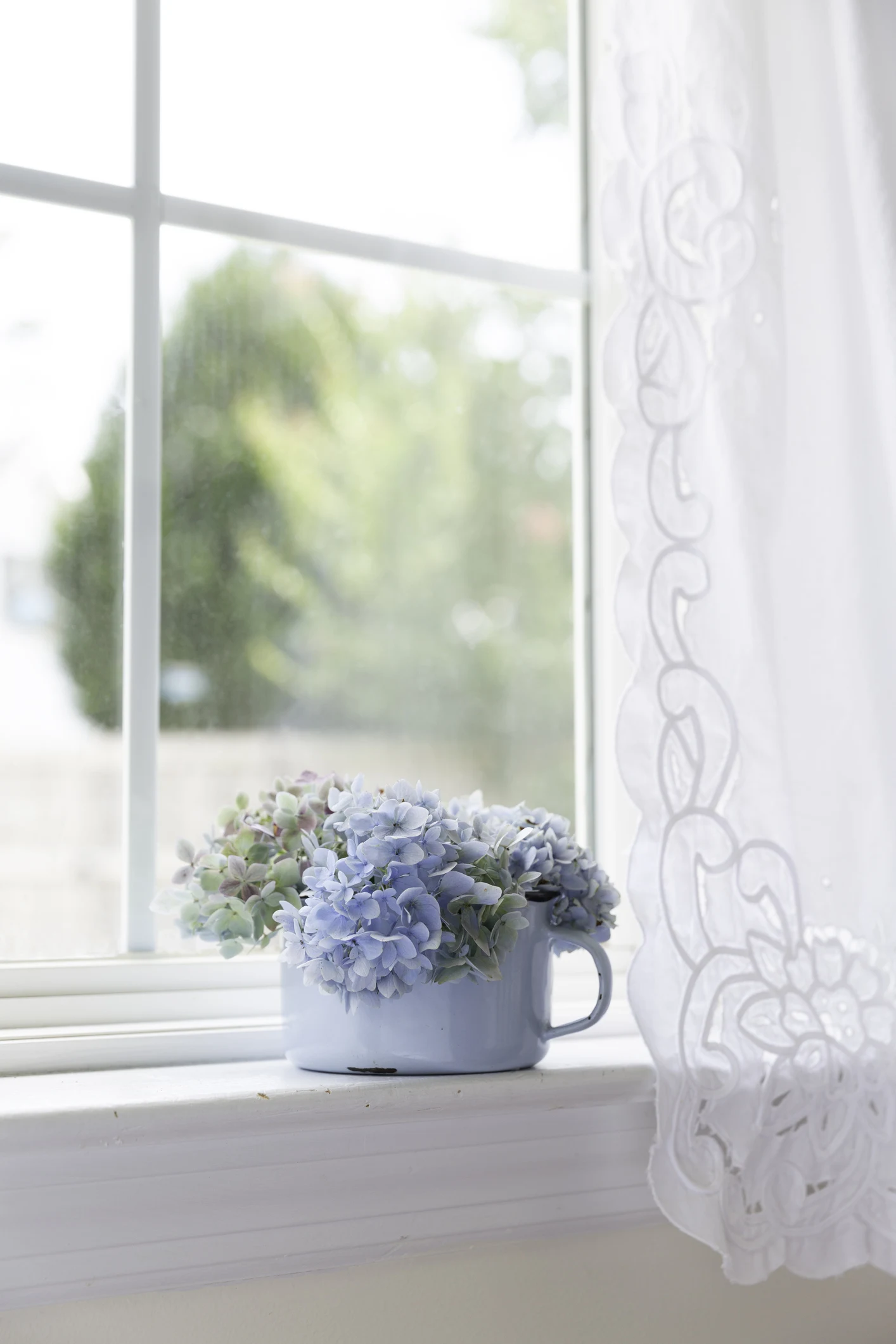 Ідеальний блиск та ніякої жовтизни на підвіконнях: як і чим правильно мити вікна