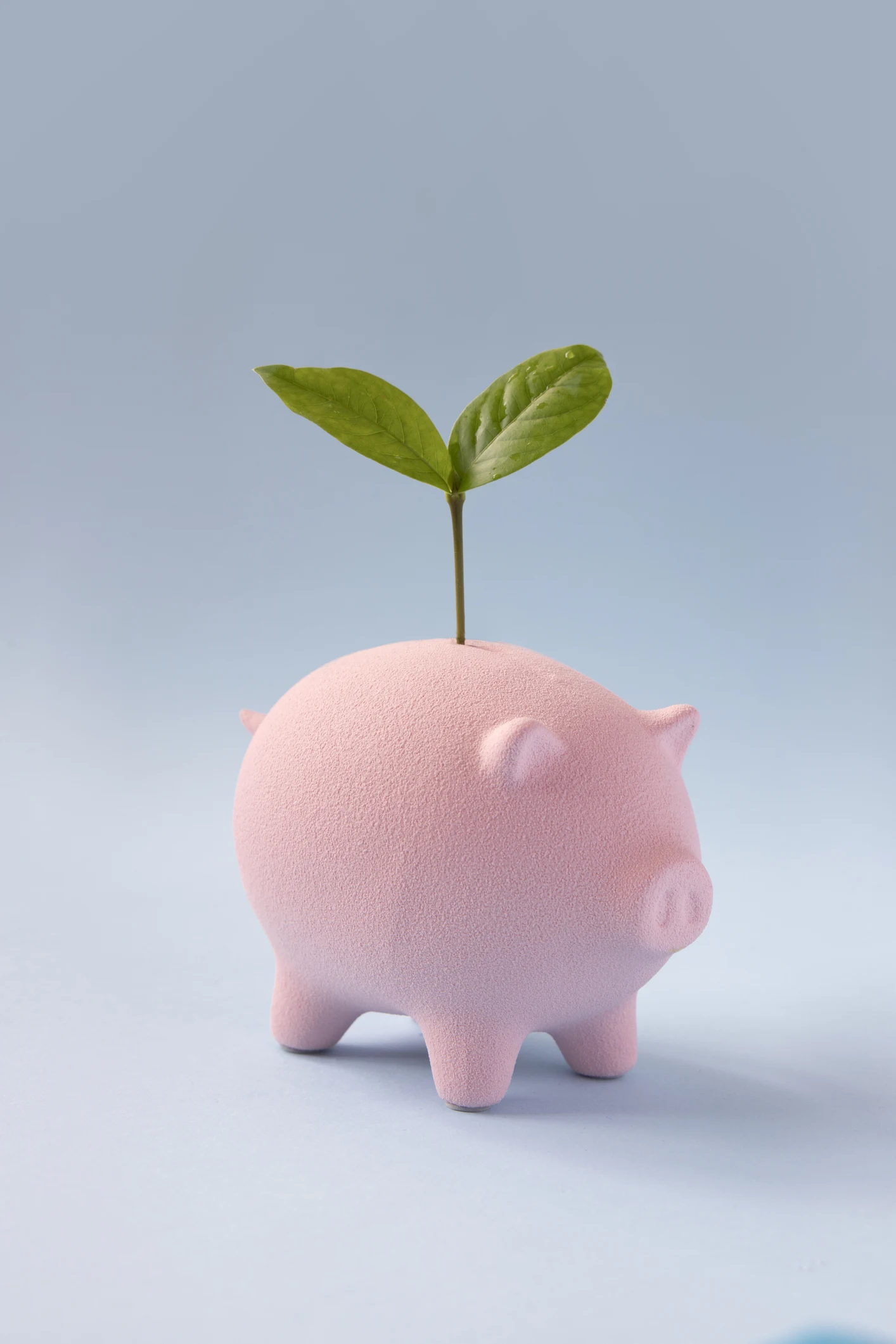 Woman shares binder cash stuffing budget hack that could stop you overspending