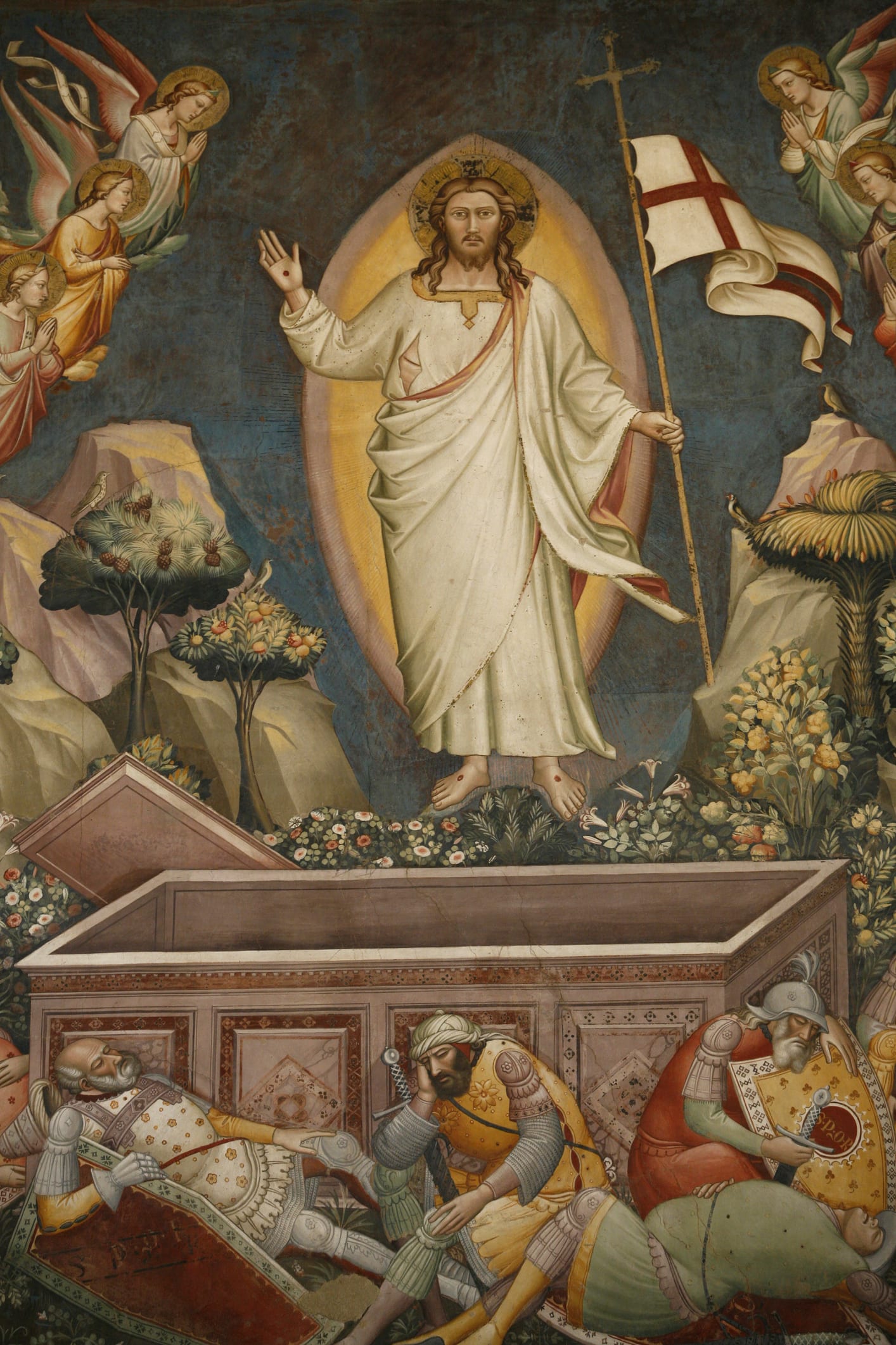 13 Fascinating and Funny English Language Mistakes