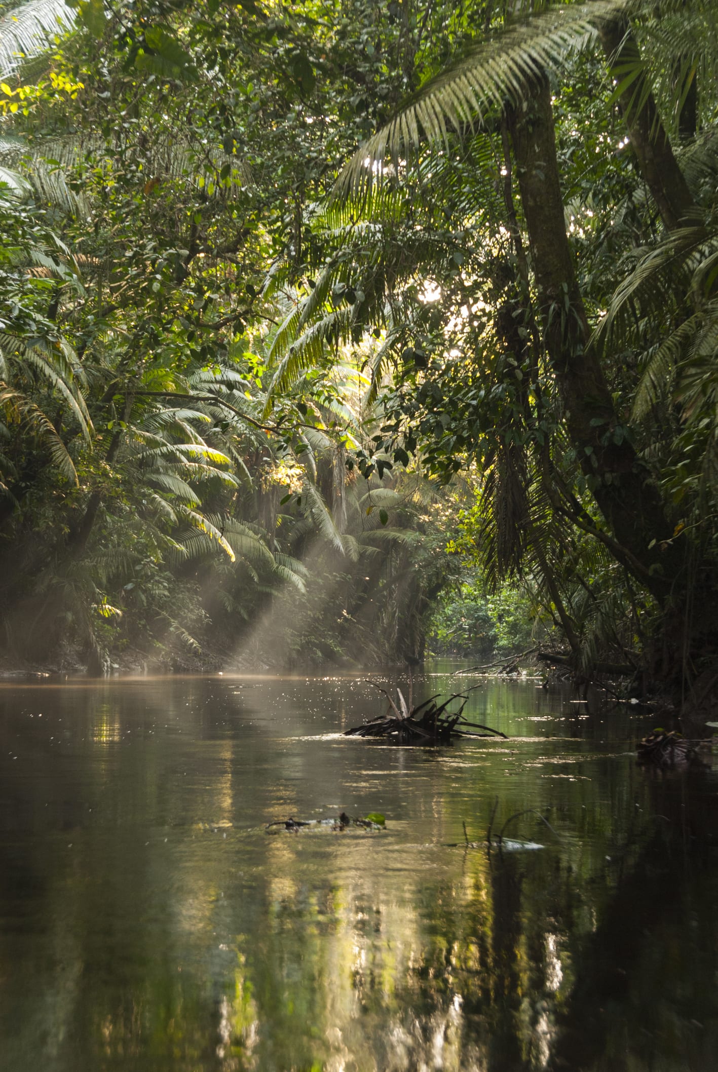 Amazzonia: la deforestazione se ne frega della crisi climatica. In sei mesi sparisce un’area grande tre volte Roma