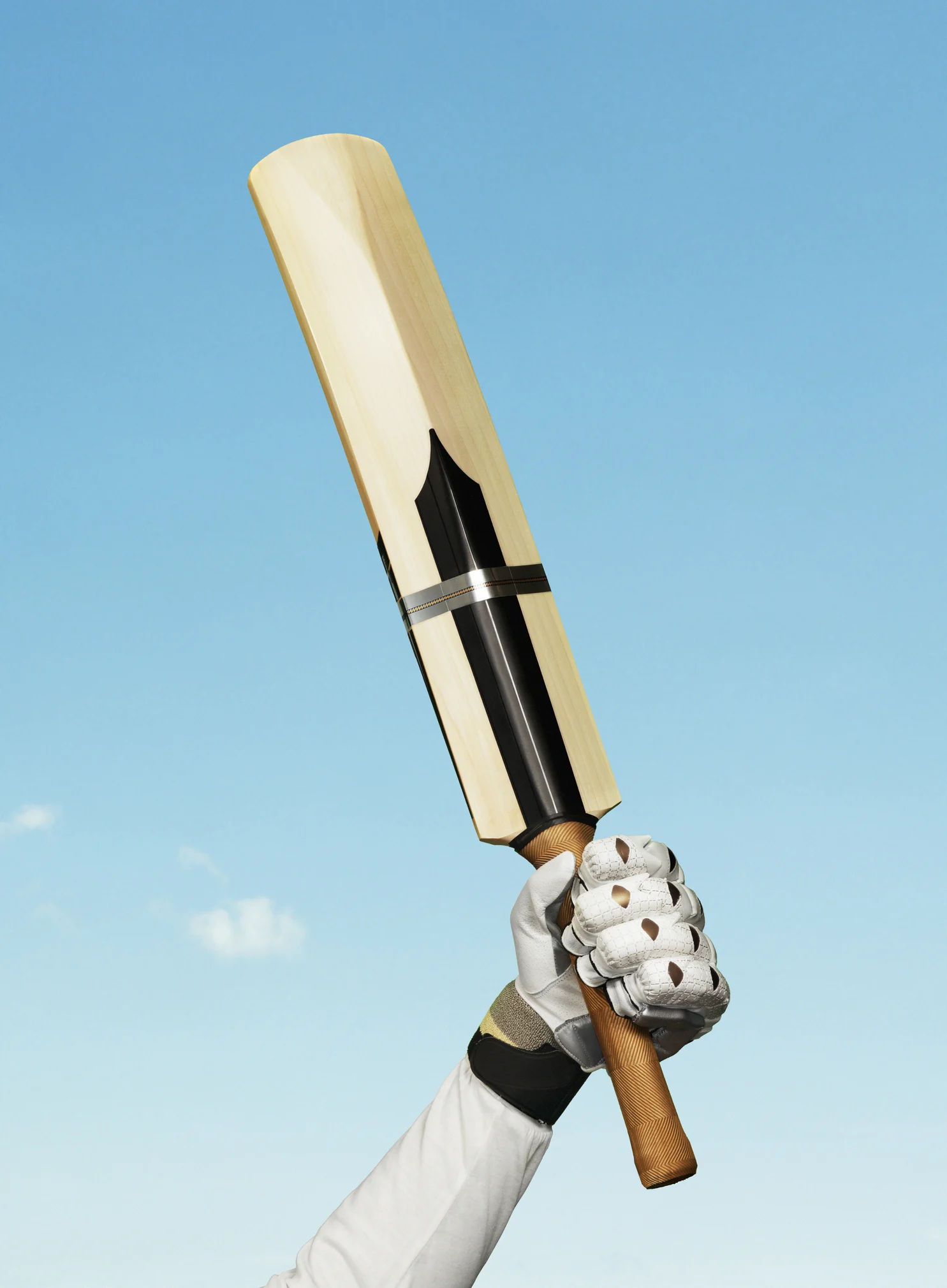 Aussie batter Chris Lynn smashes a massive six into someone's backyard