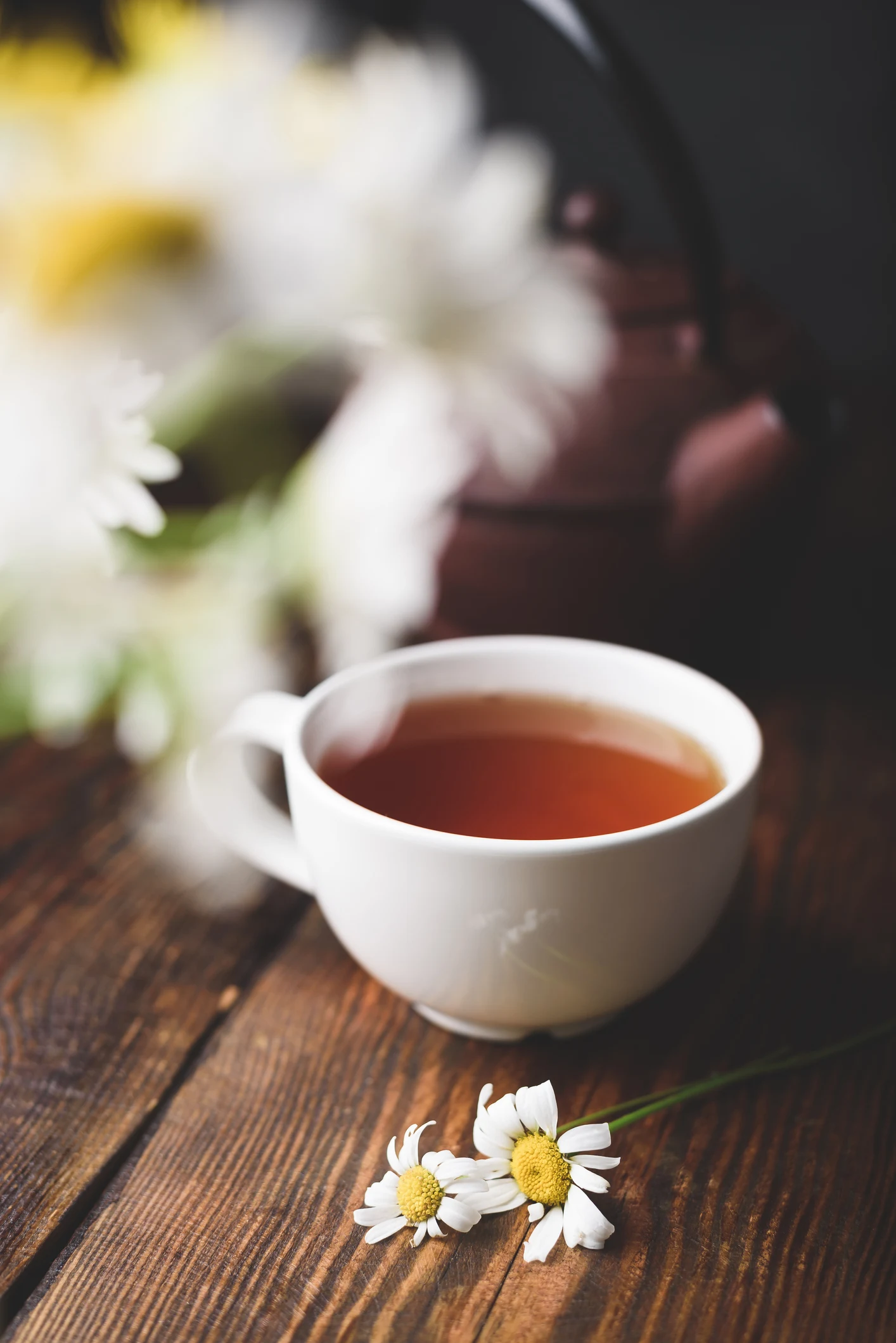 فوائد مذهلة لتناول البابونج الساخن بانتظام.. تعرف عليها