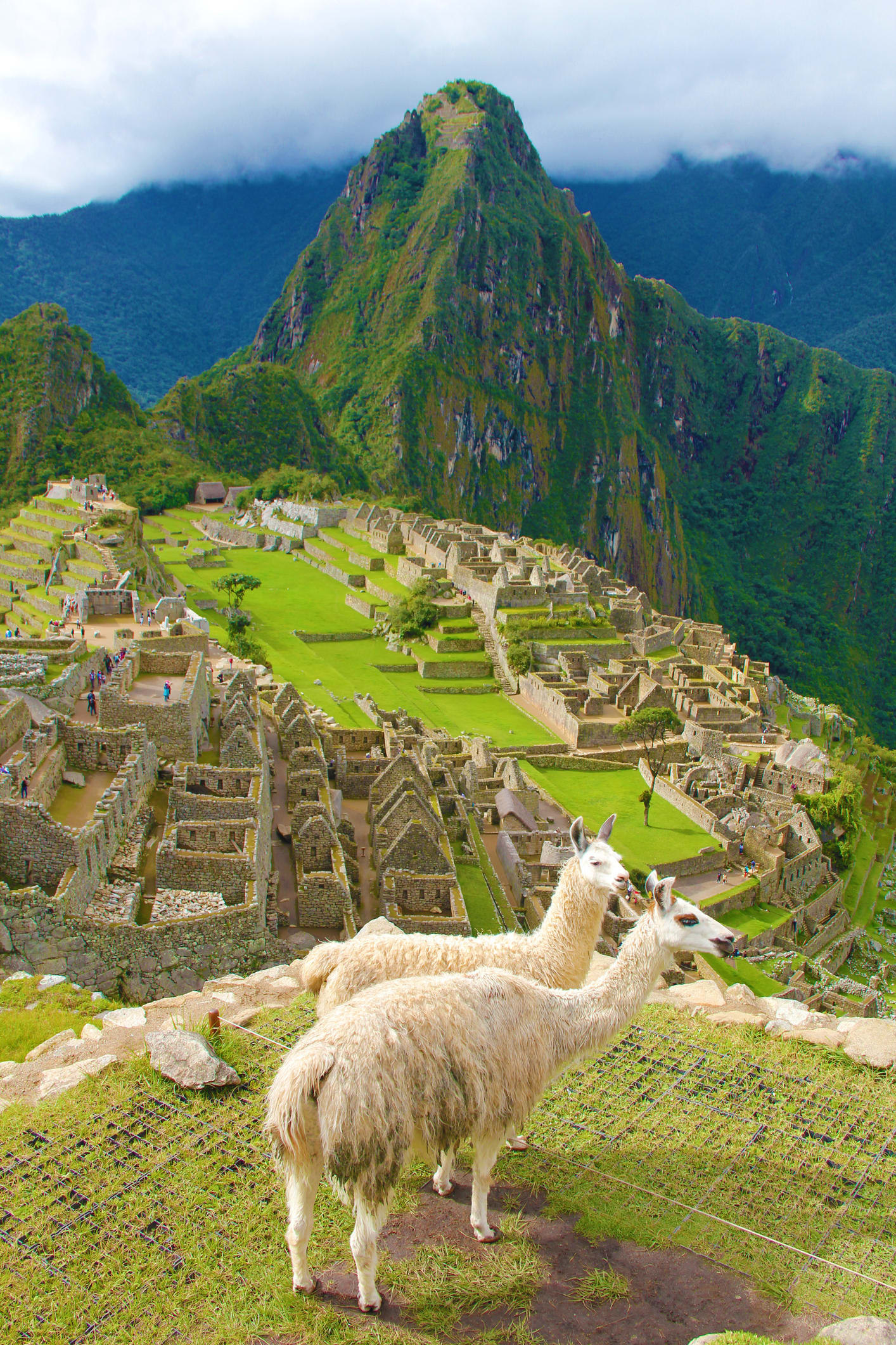 Una investigación revela el nombre original del Machu Picchu