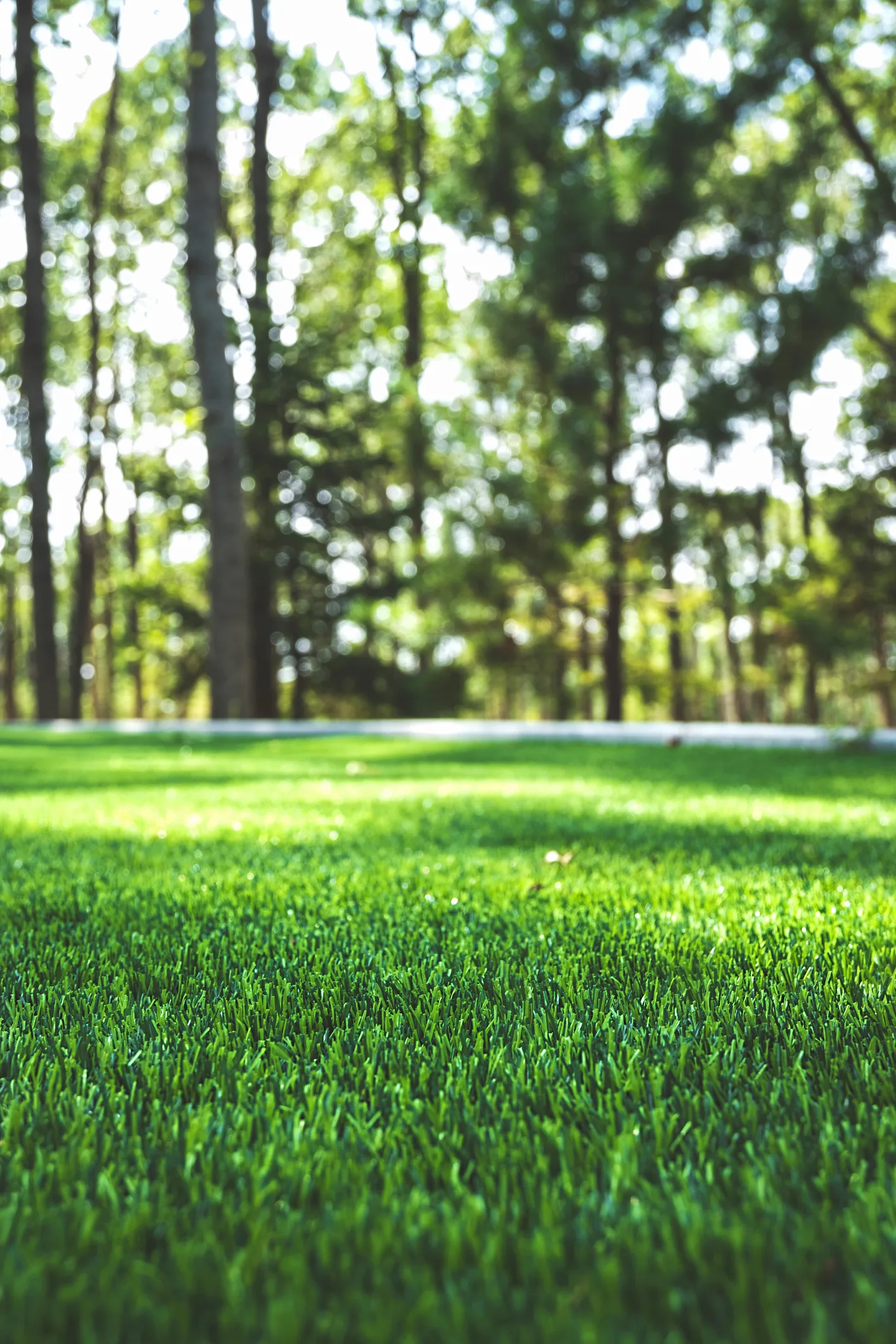 Barbecue, tondeuse, entretien : que peut-on faire ou pas dans son jardin ?