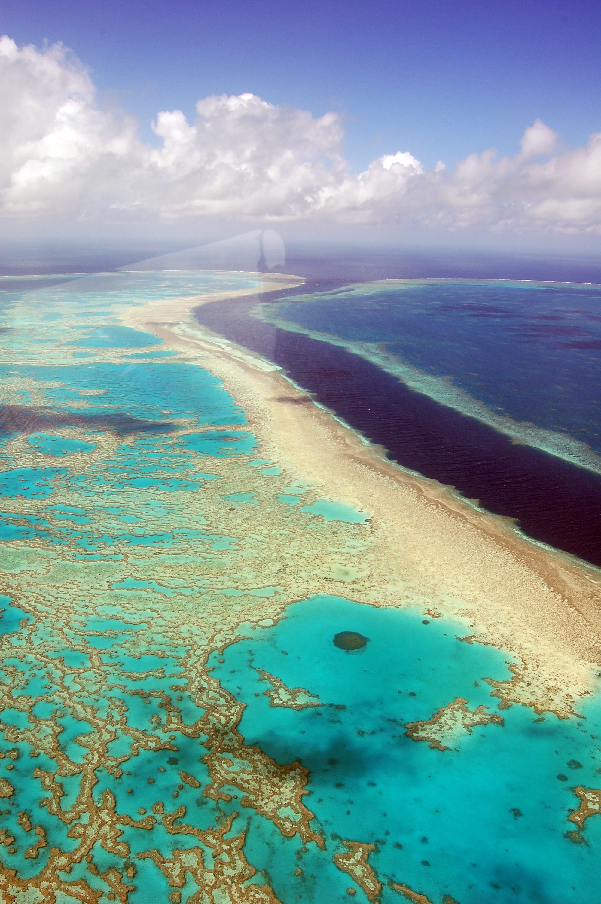 أجزاء من الحاجز العظيم بأستراليا تشهد أكبر غطاء مرجاني منذ 36 عاما