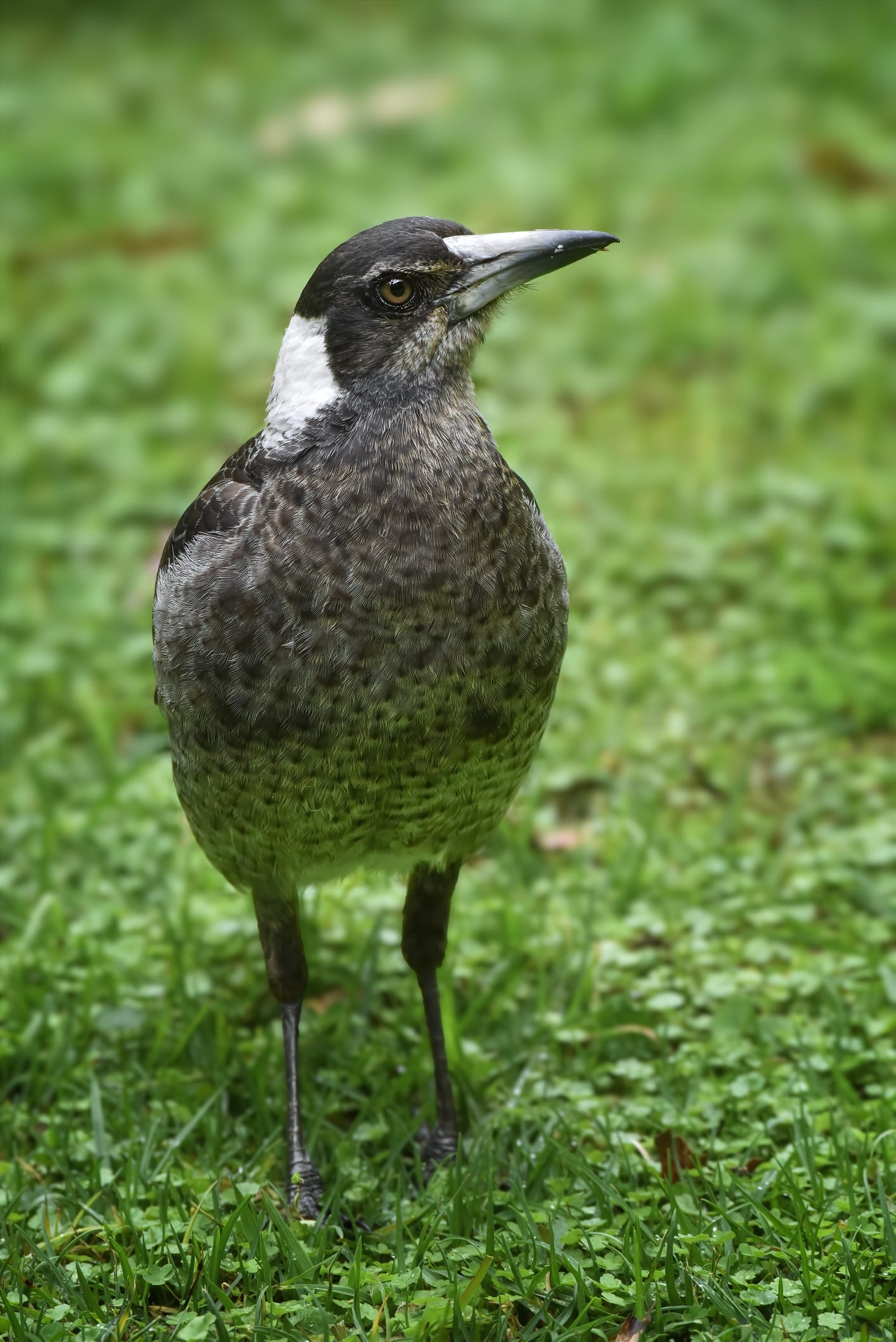 อวดโฉมเจ้าตัวเล็ก 