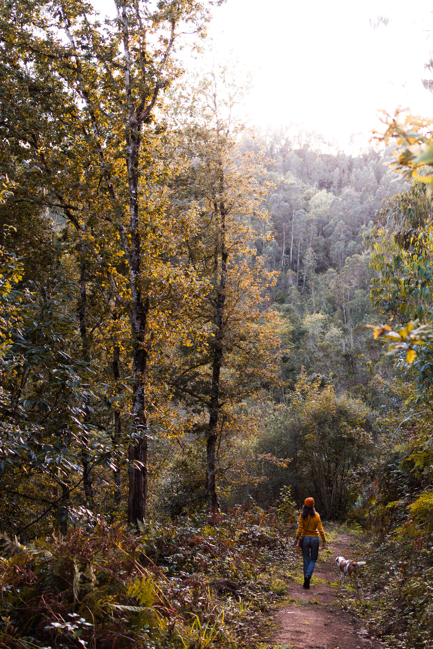 Bạn muốn nghỉ hưu năm bao nhiêu tuổi?