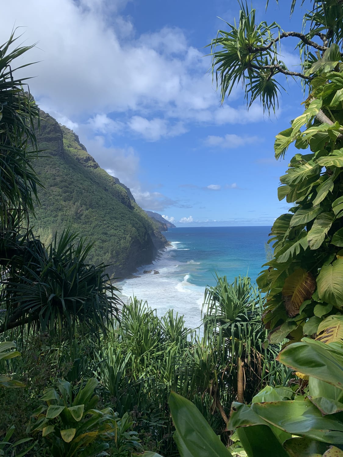 These 50 Hawaiian baby names are inspired by the Aloha State