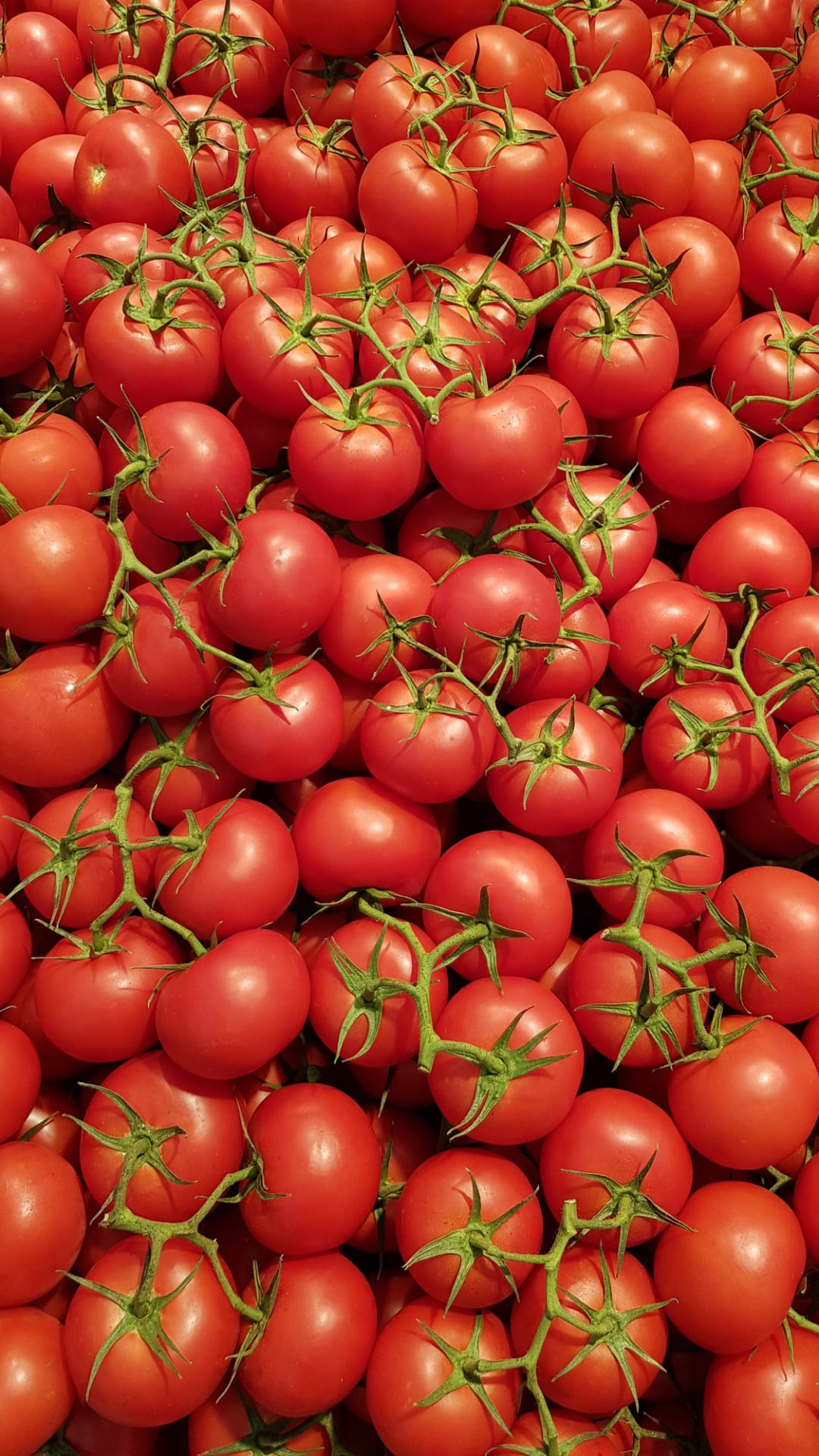 Gardening expert shares ‘brutal’ tip to encourage tomato plant to fruit - ‘chop them off!’