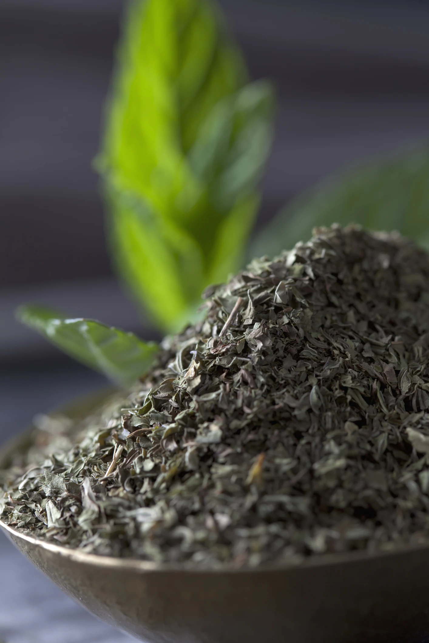 النعناع المجفف .. فوائد صحية تفوق النعناع الطازج | المطبخ الشامي