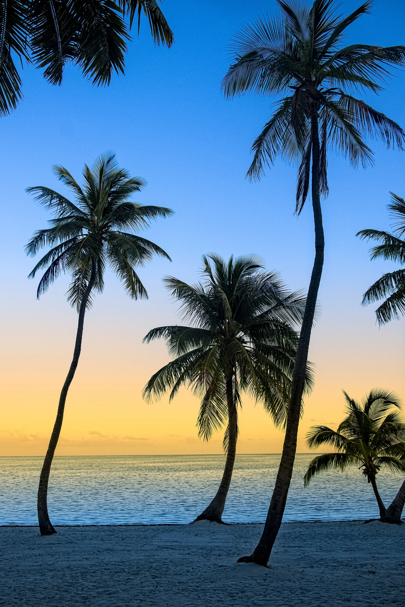 15 Best All-Inclusive Resorts in Florida That Are Perfect for Your Next Getaway