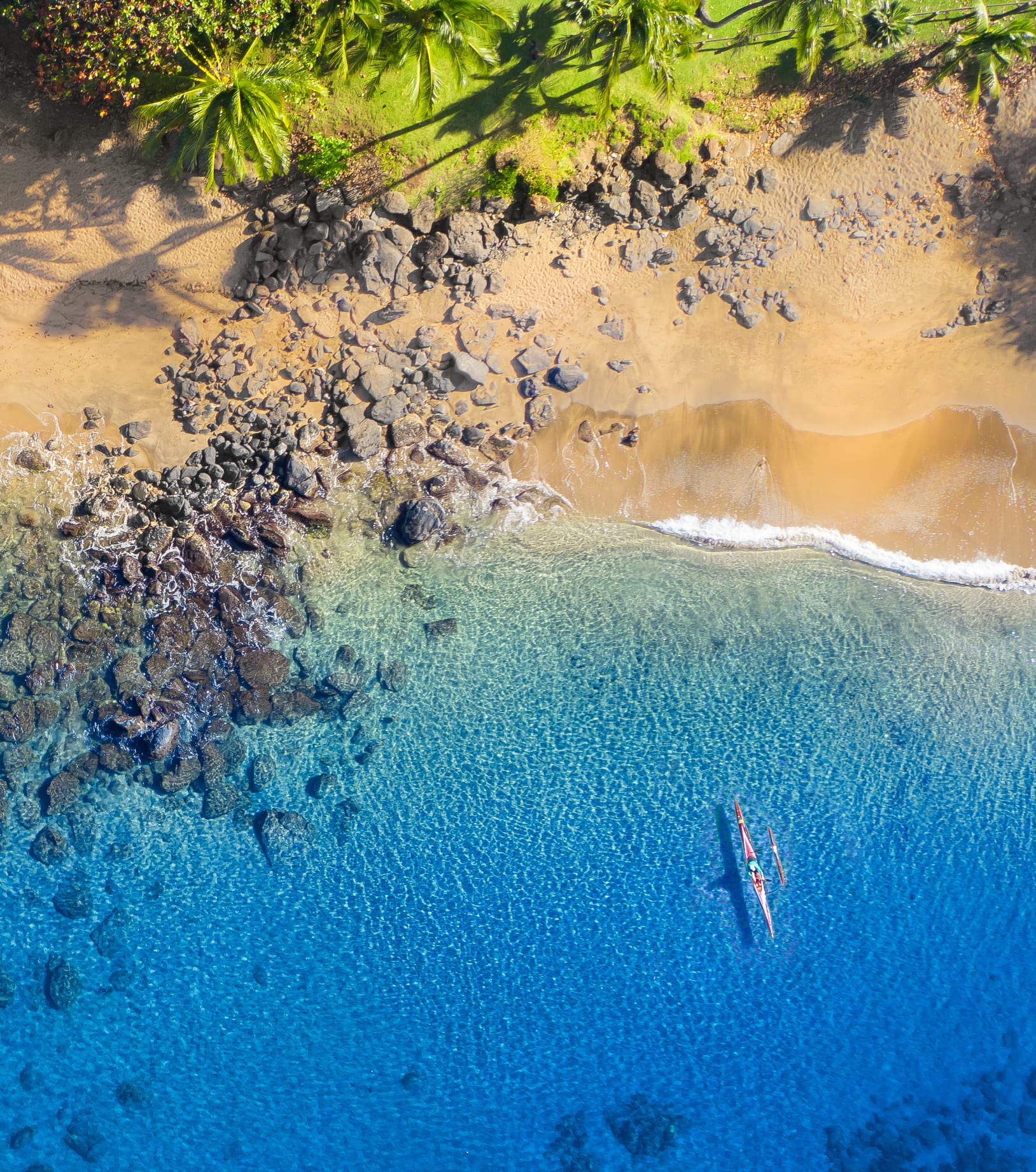 How to safely enjoy the ocean in Hawaii, with expert tips