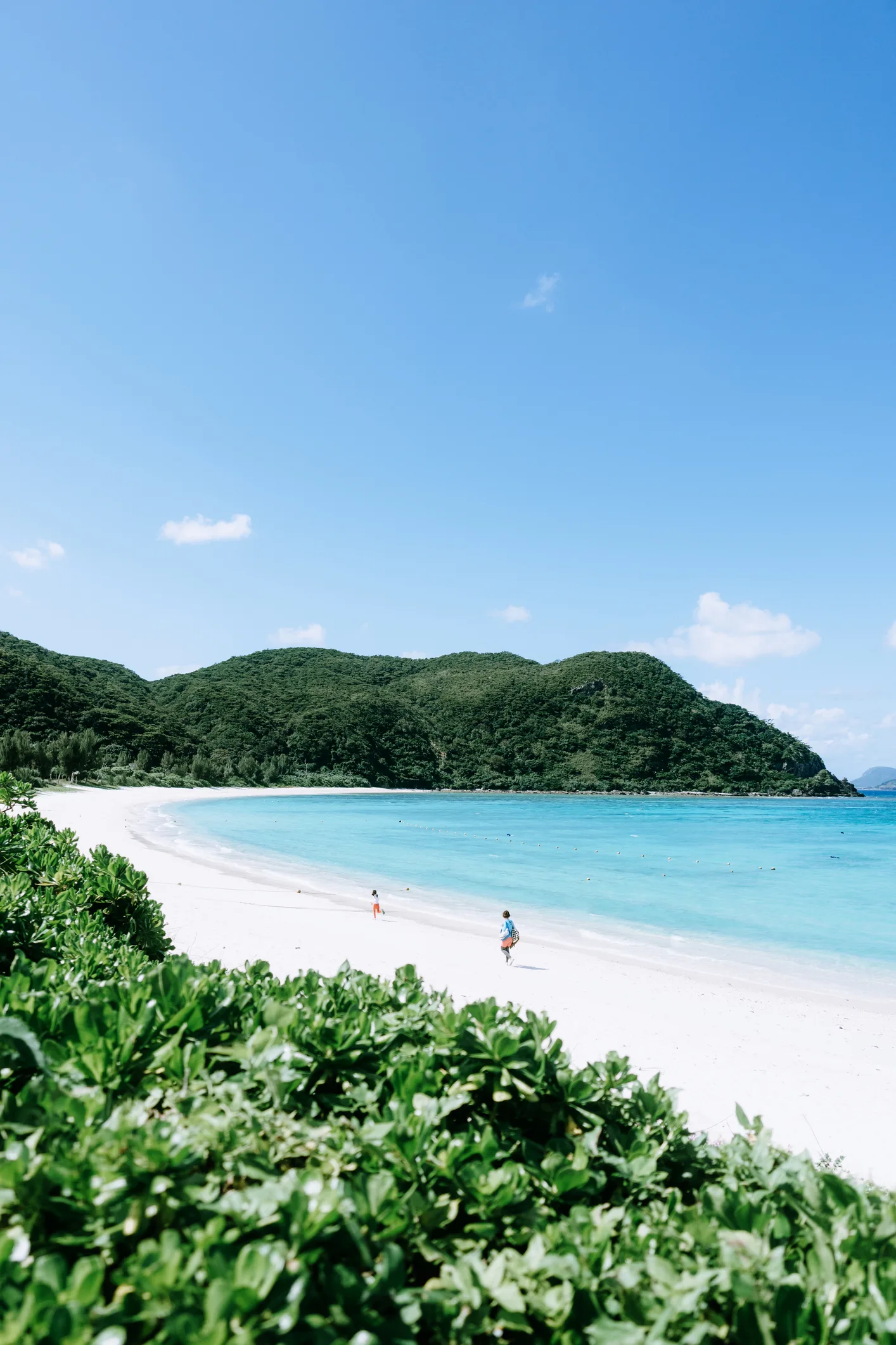 'Ba mẹ là lá chắn, che chở suốt đời con...'