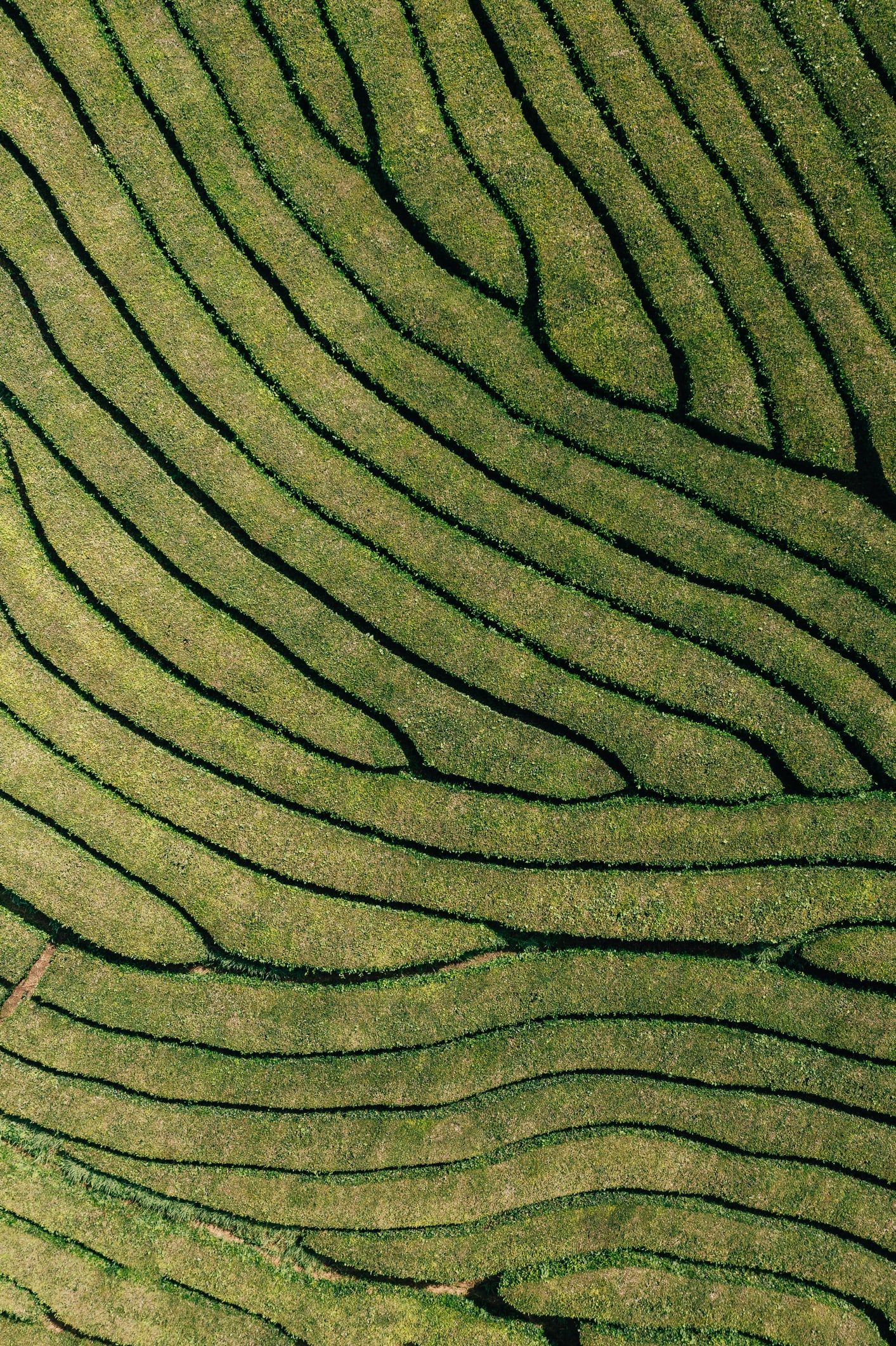 Von der Natur inspiriert: 20 Vornamen für Jungen und Mädchen