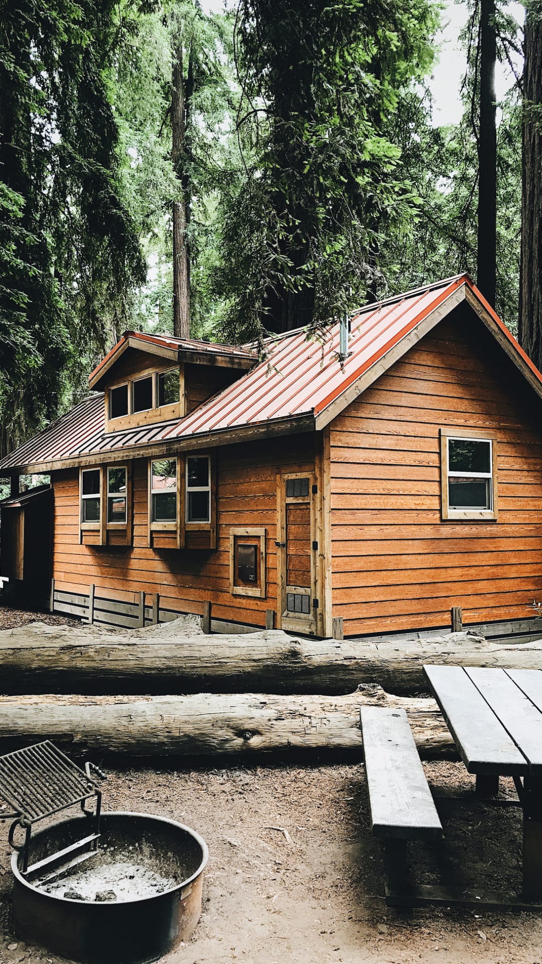 Tiny cabins become hot property for pandemic getaways