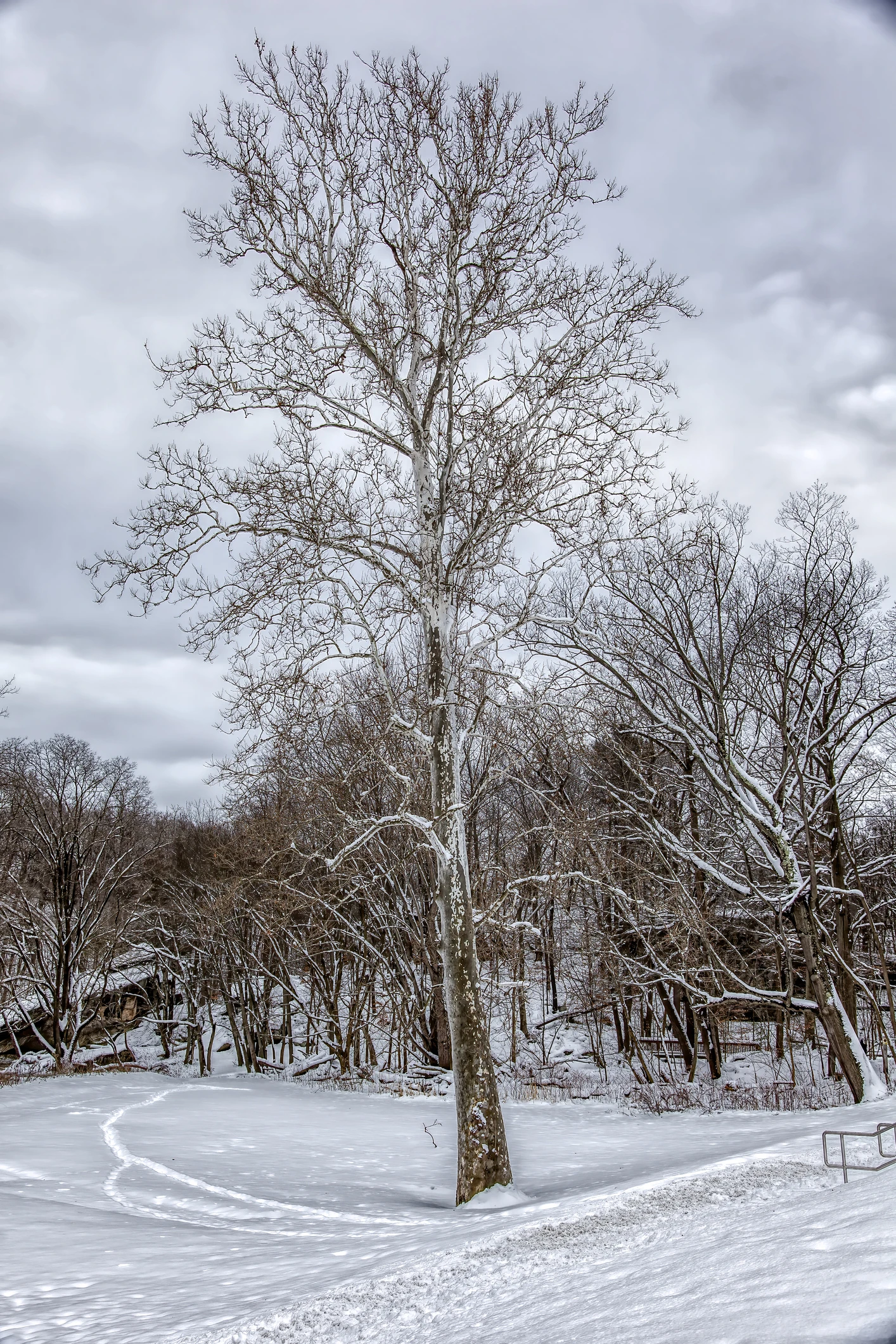 Snow Covers Cleveland as Winter Storm Hits Ohio
