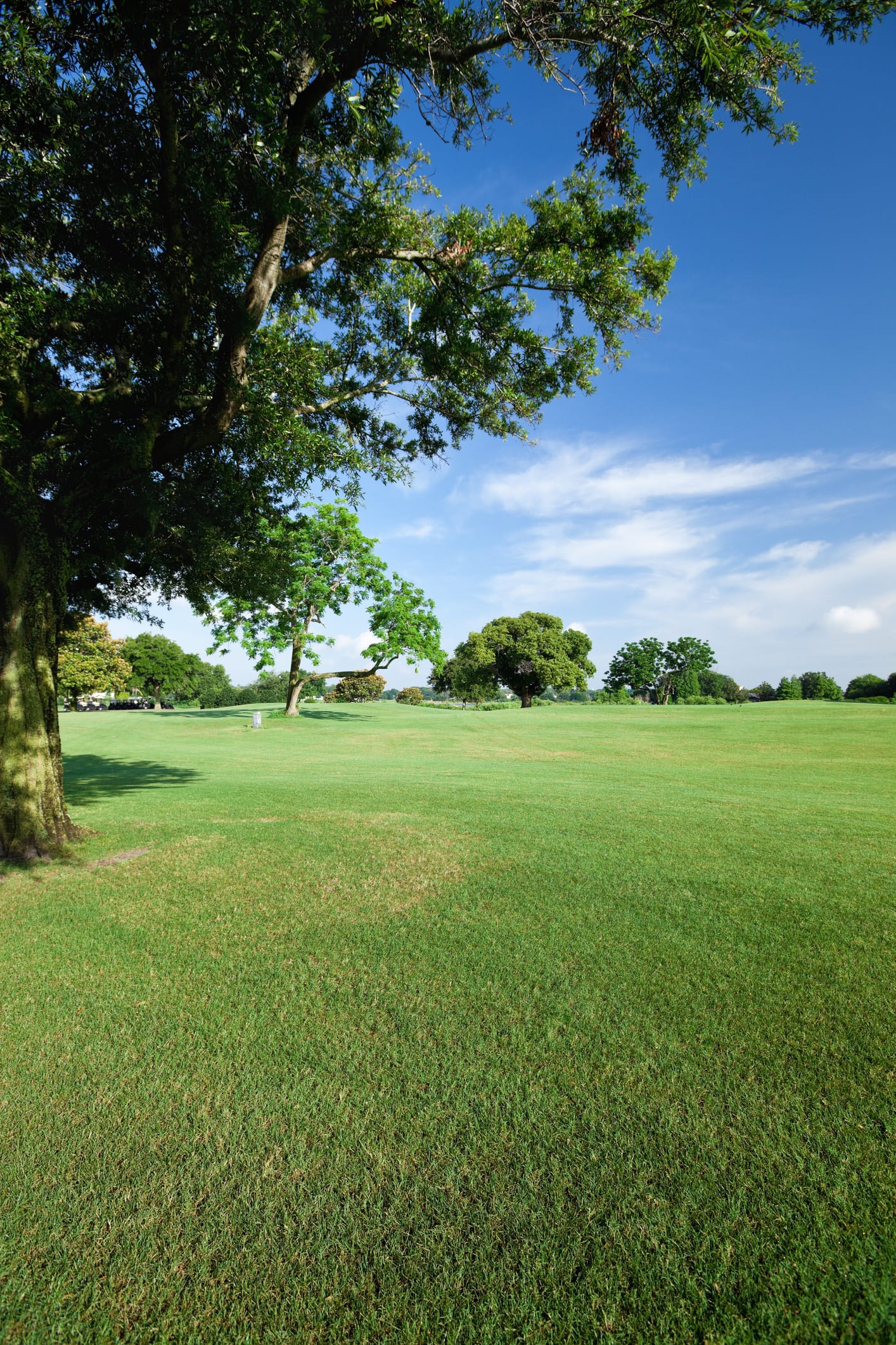 The rambling country garden of Glenmore House