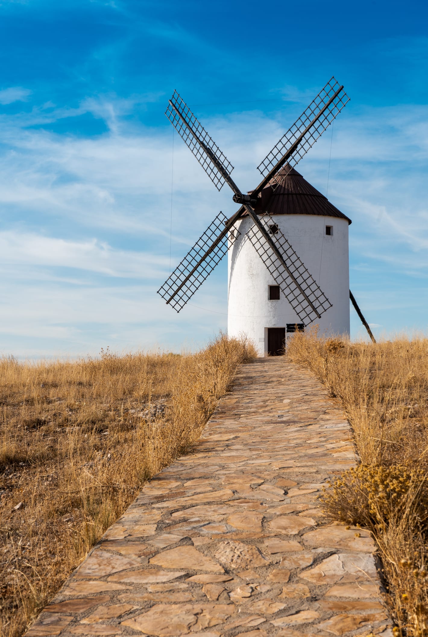 Ruta del Vino de la Mancha: 9 paradas para descubrir el mayor viñedo del mundo