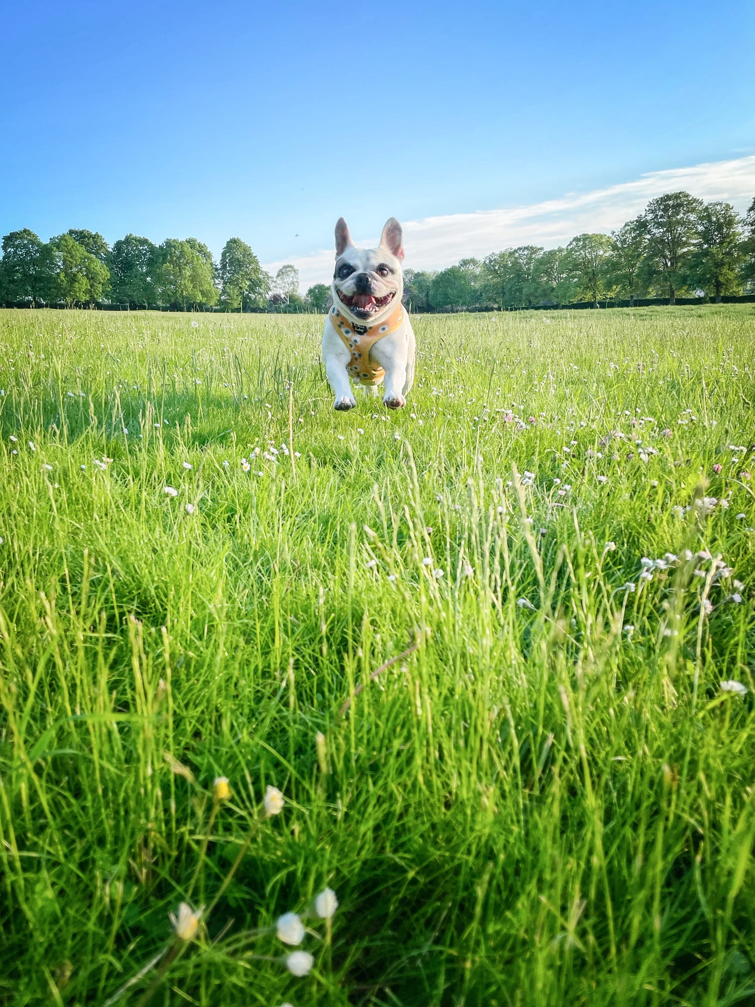 DR MARTIN SCURR answers your health questions