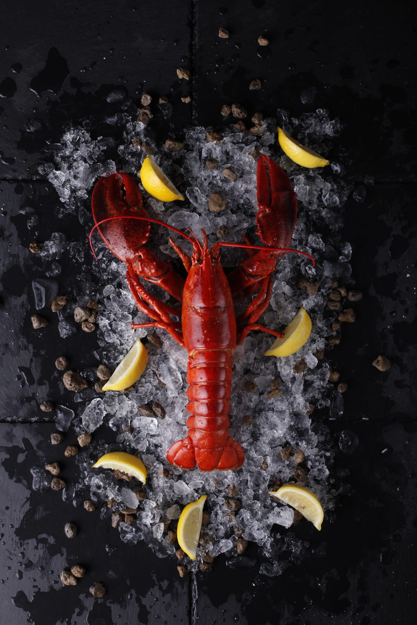 Giá tôm hùm xanh tăng mạnh