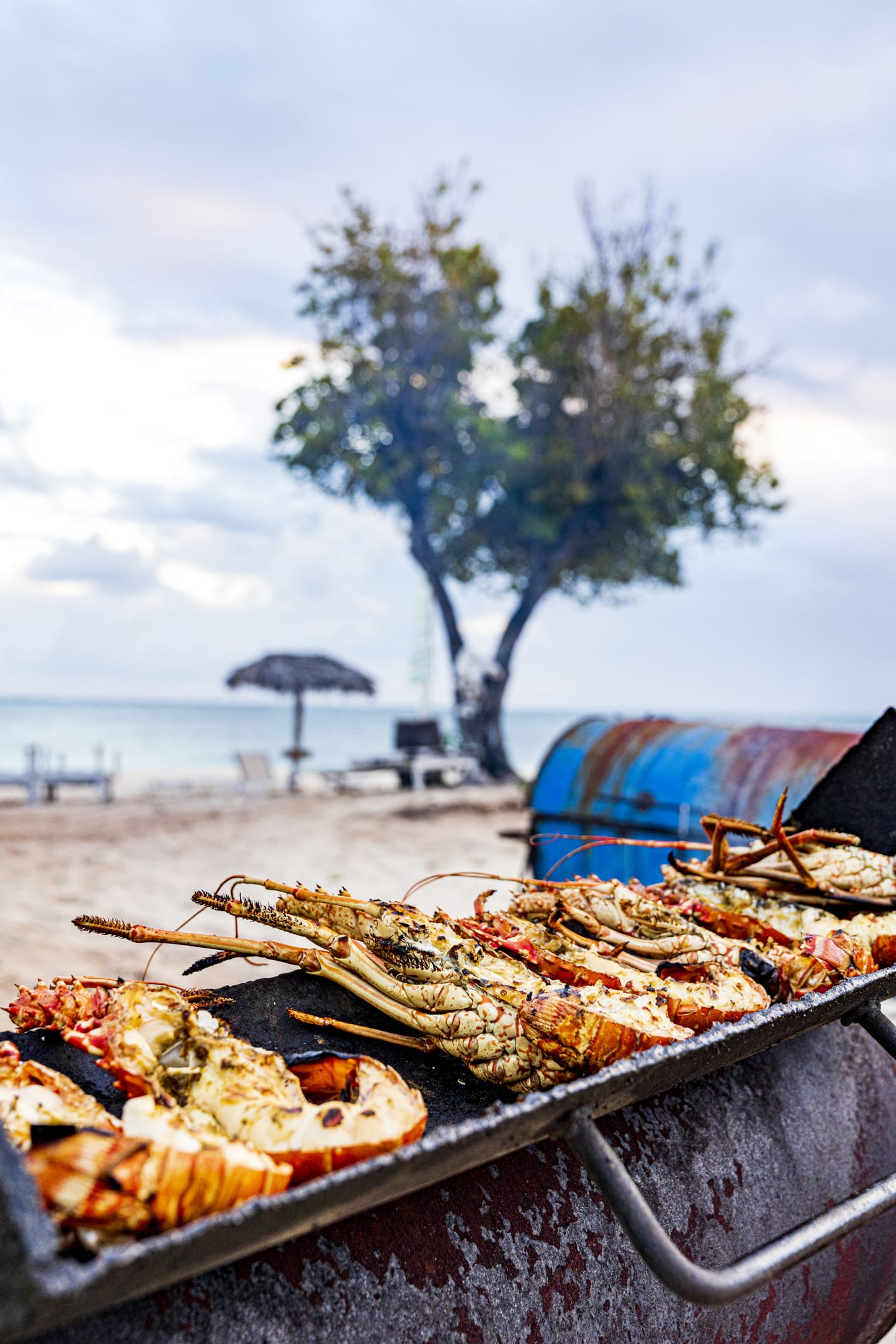 Giá tôm hùm xanh tăng mạnh