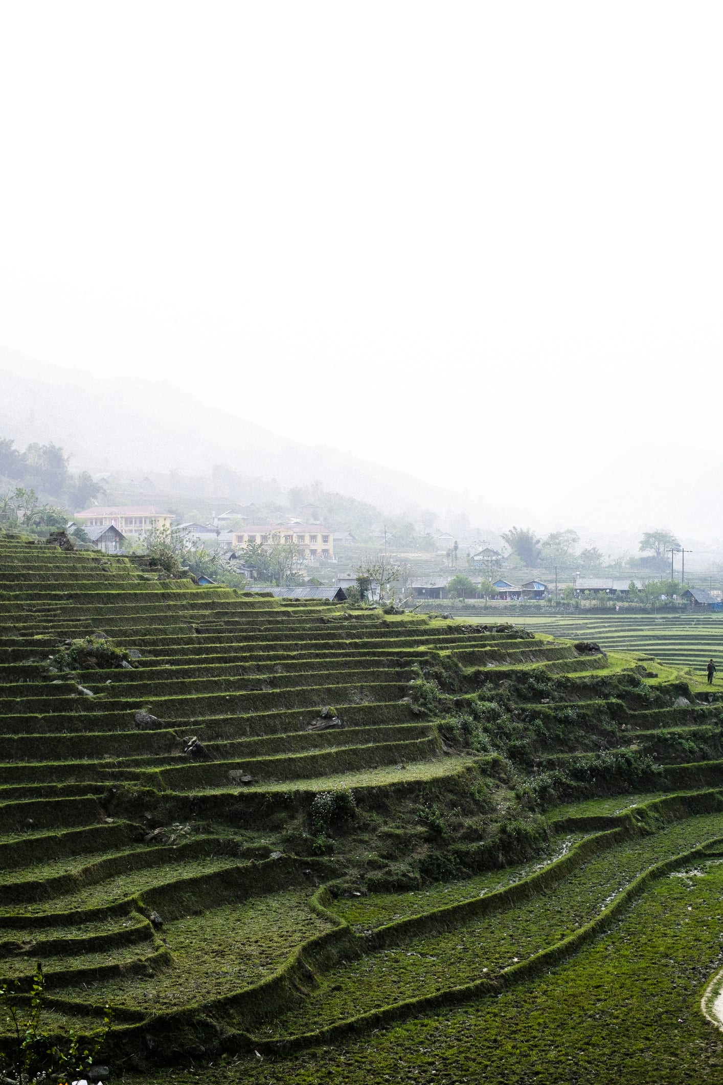 Việt Nam có thể trở thành một hình mẫu về tăng trưởng xanh