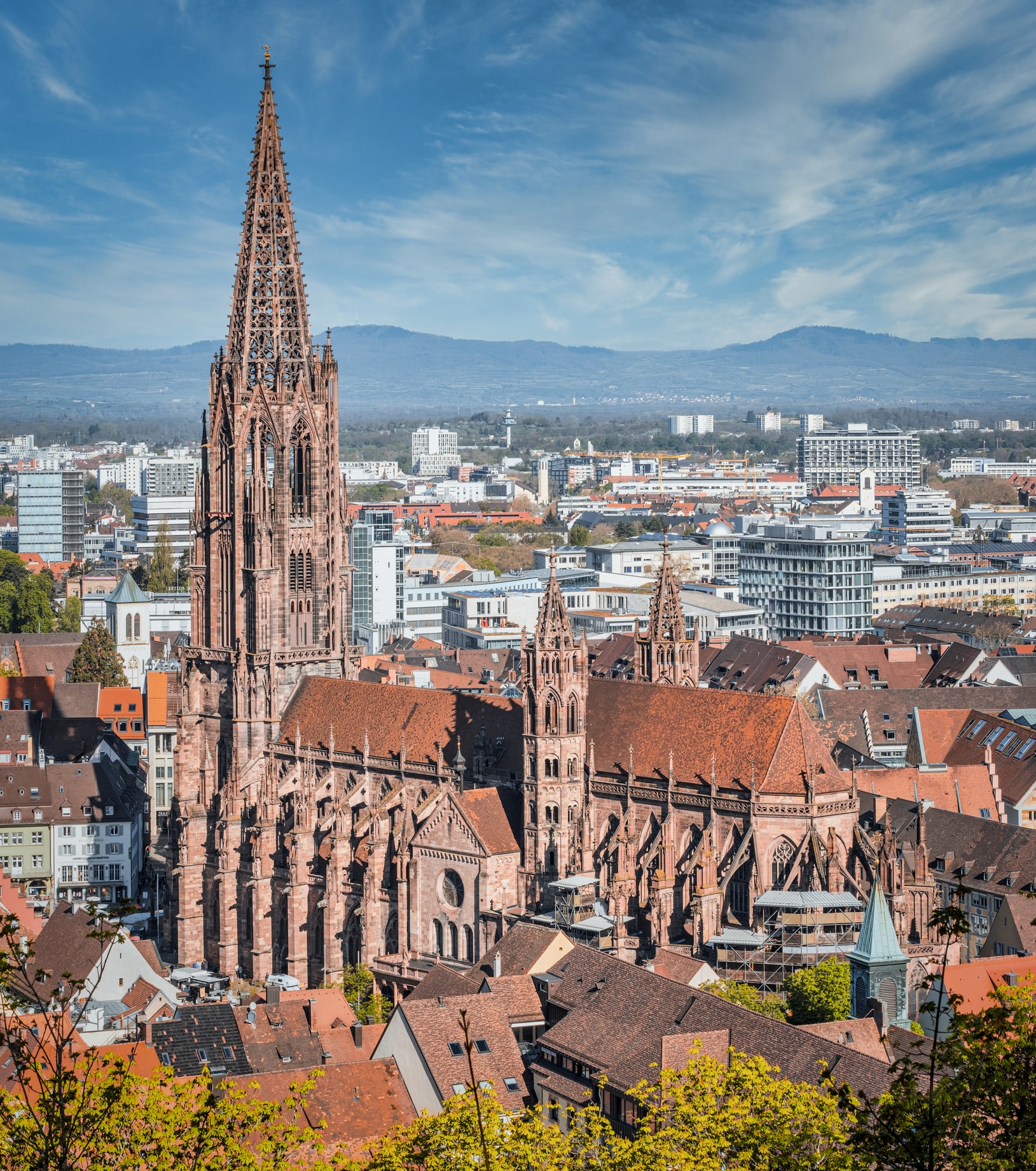 Flanierstädte: Rostock, Görlitz oder Freiburg zu Fuß erkunden