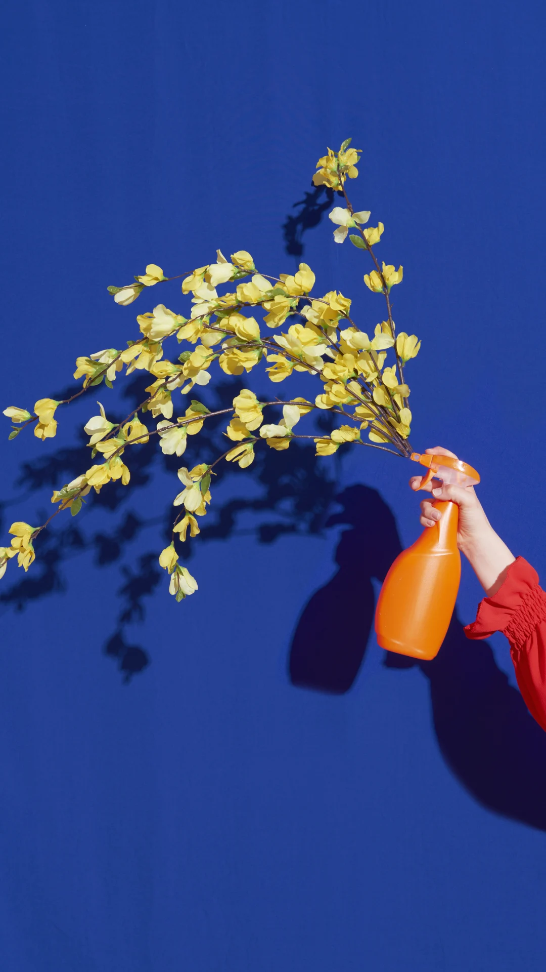 ¿Cómo sería un perfume del futuro?