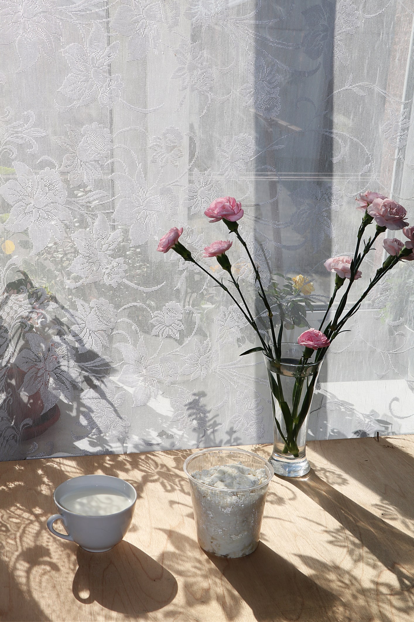 5 usos y beneficios de la leche para el cuidado de las plantas