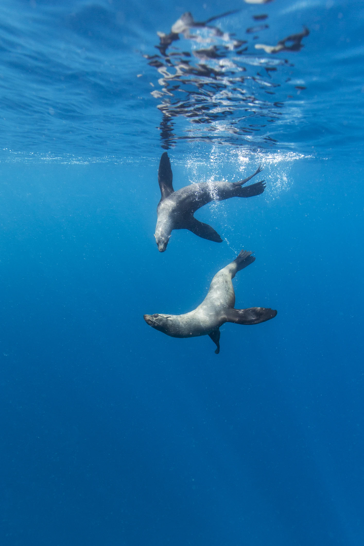 Las mejores fotos de las Islas Galápagos de 2022